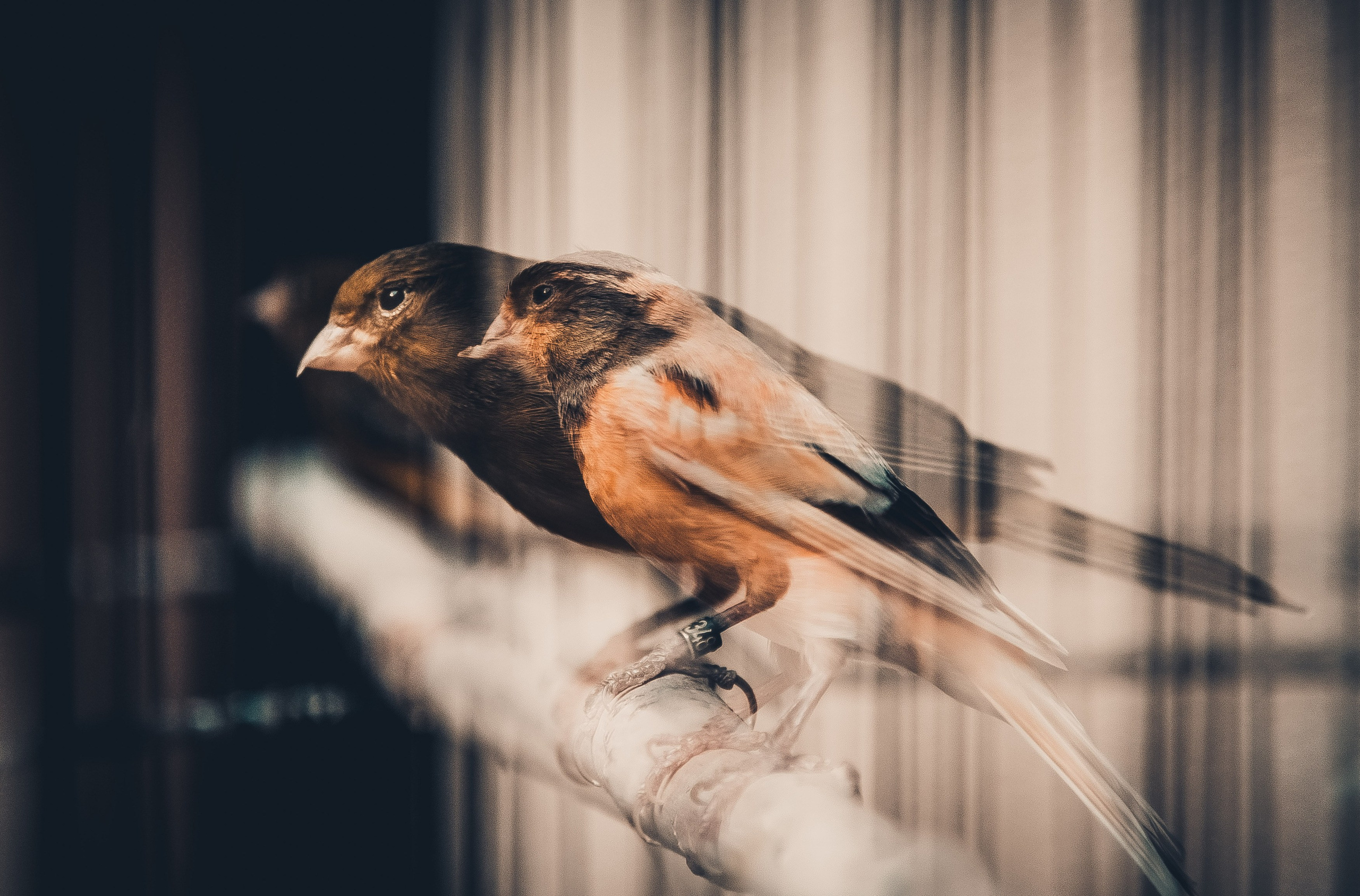 Уличная съемка. Фотограф и оператор Илья Гунбин