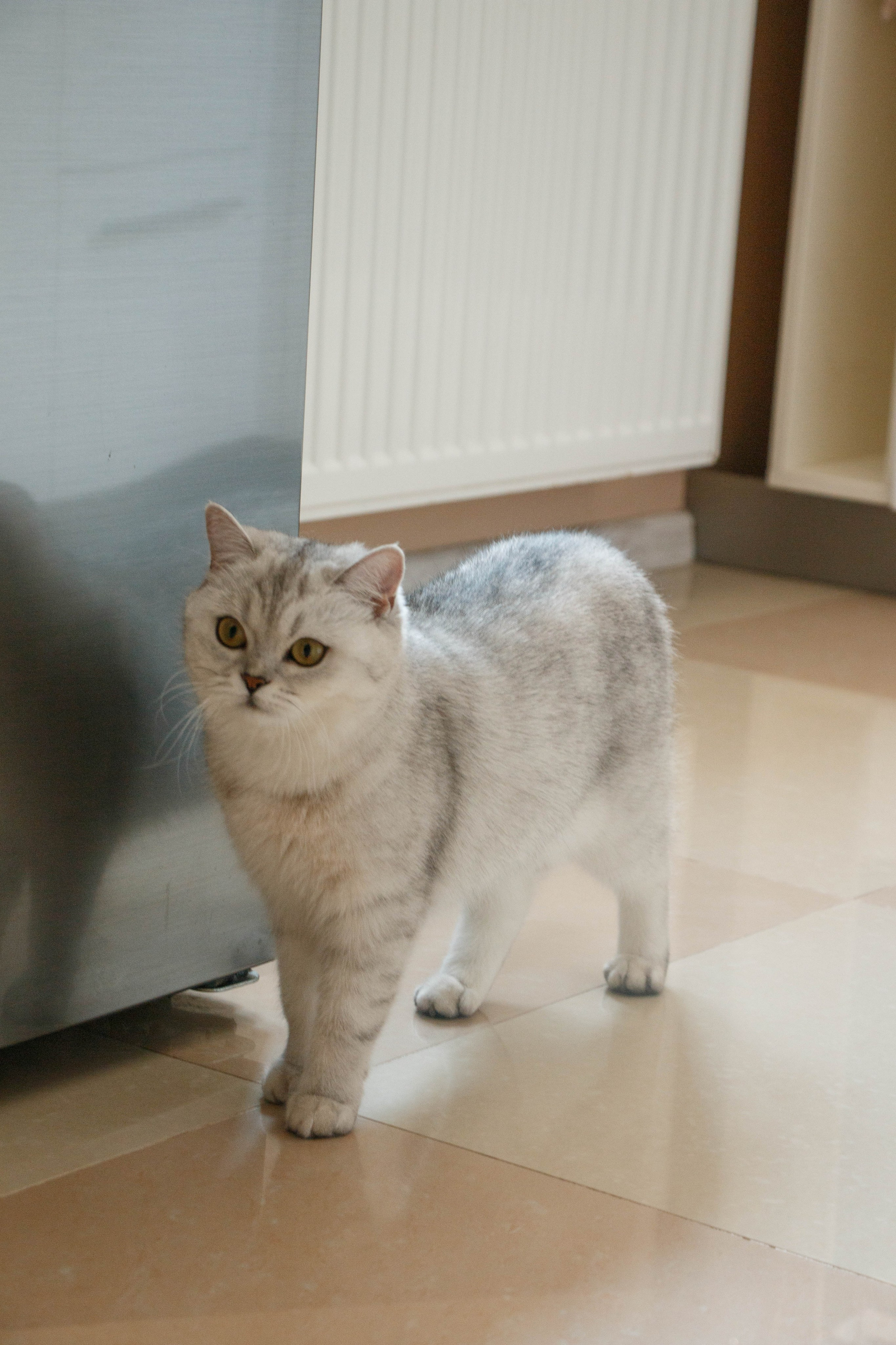 NASTYA & KITTI. Бережно сохраняю ваши чувства и истории на своих фотографиях