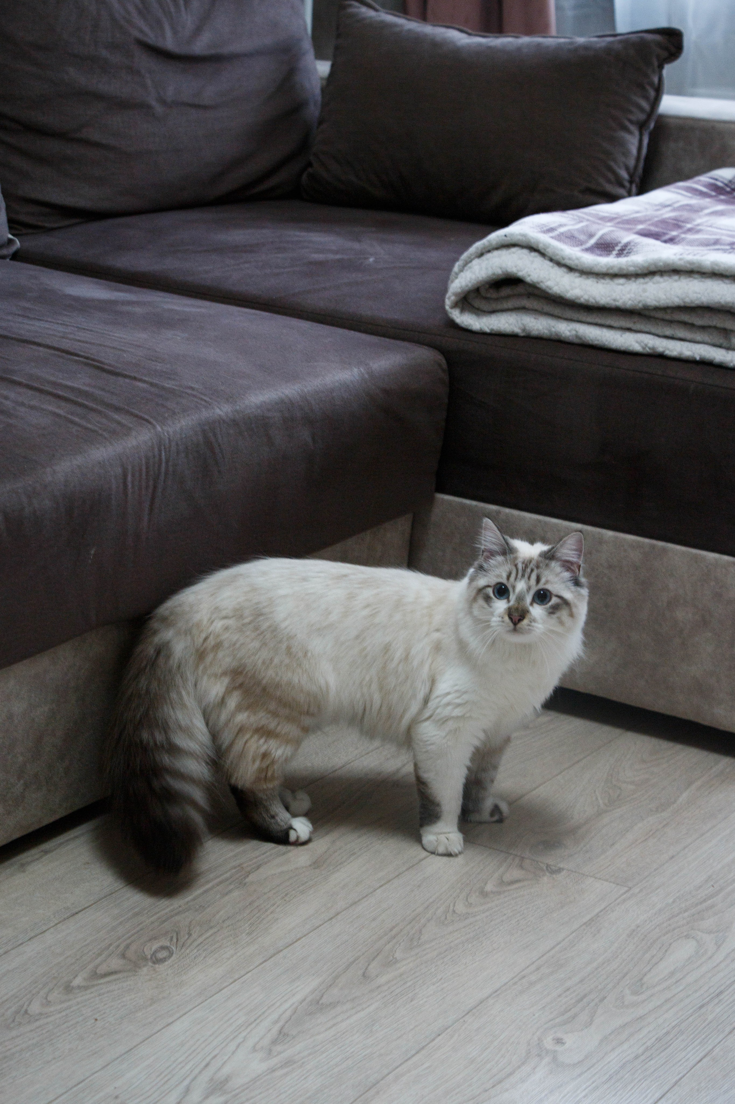 Kristina & Miya. Бережно сохраняю ваши чувства и истории на своих фотографиях