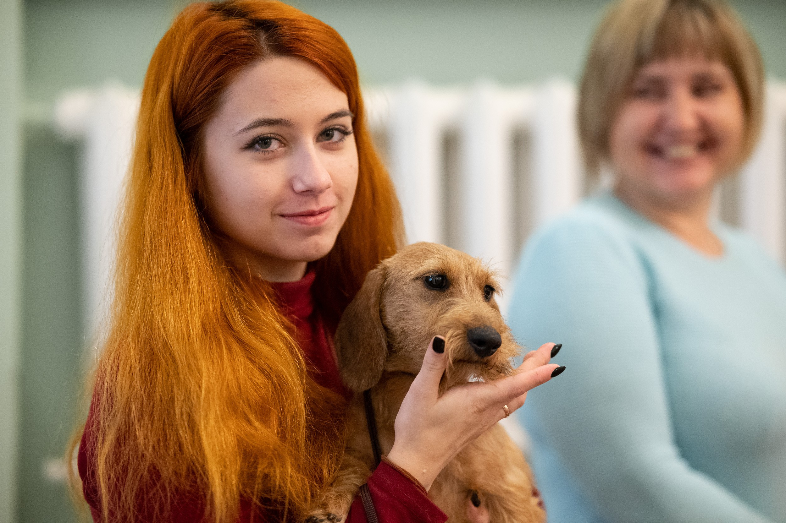 Выставка собак. Фотограф и видеооператор в Туле | Даниил Рыбак