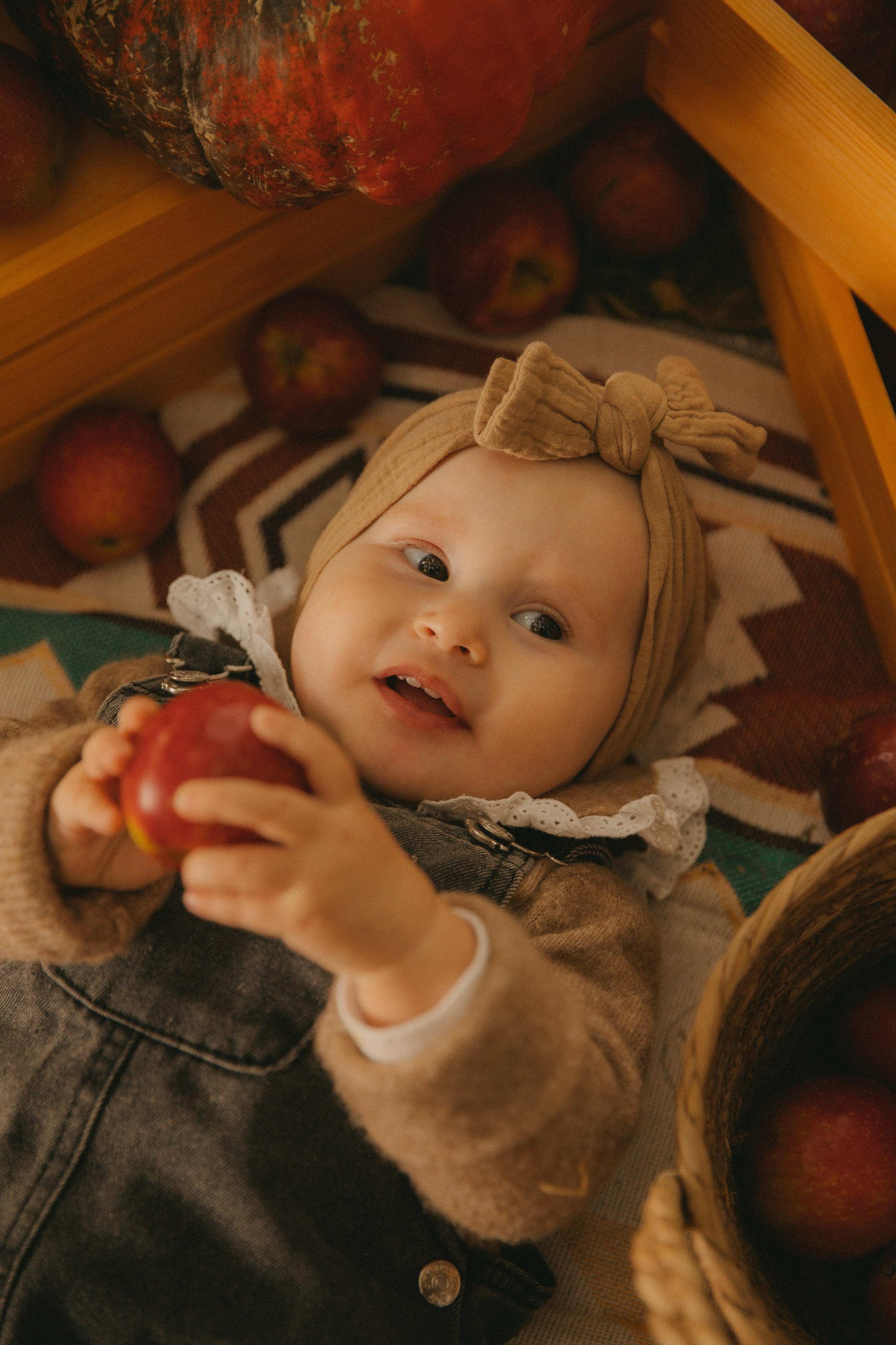 Фотопроект с корги