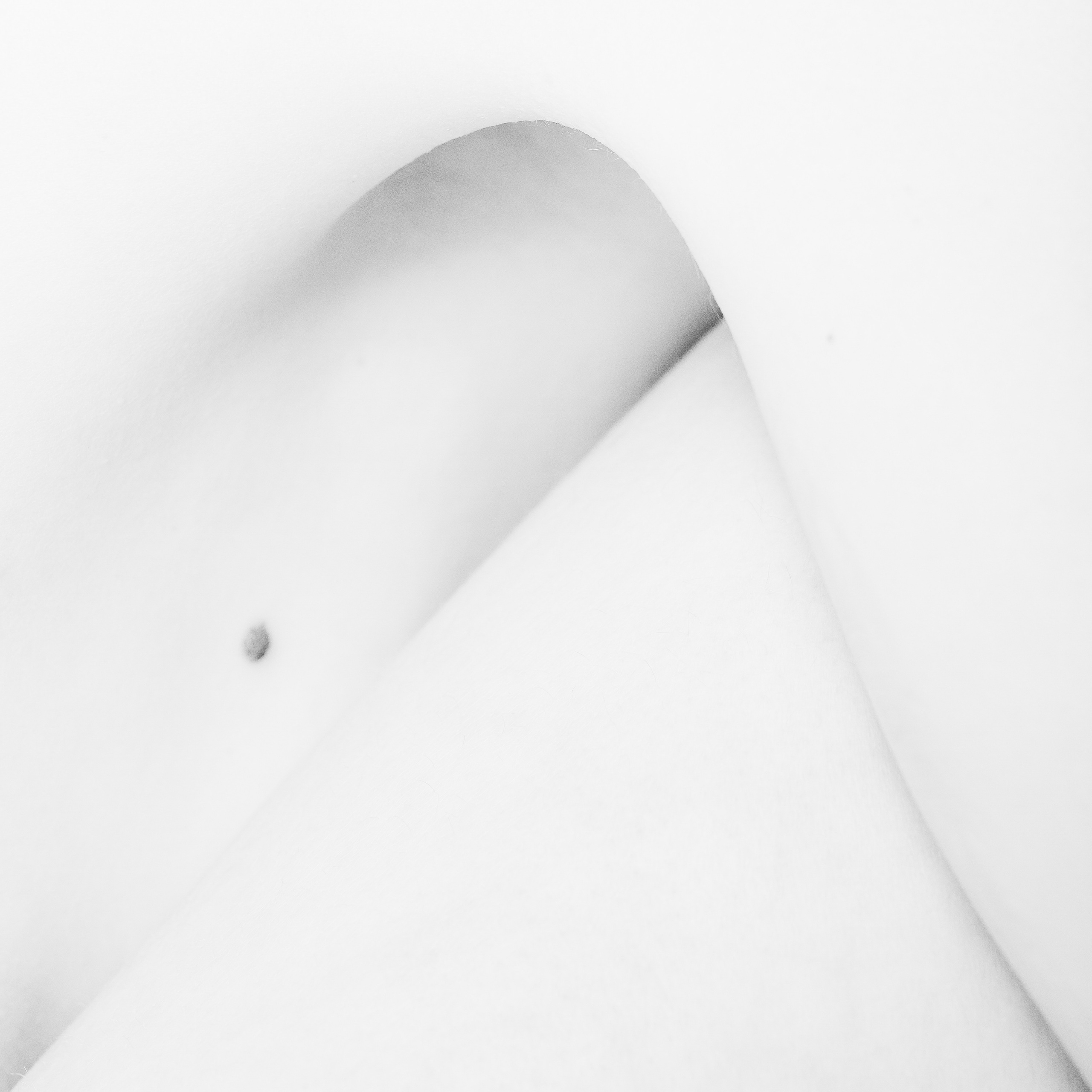 Perfect Imperfection. Svetlana Lapina, portrait photographer, San Francisco