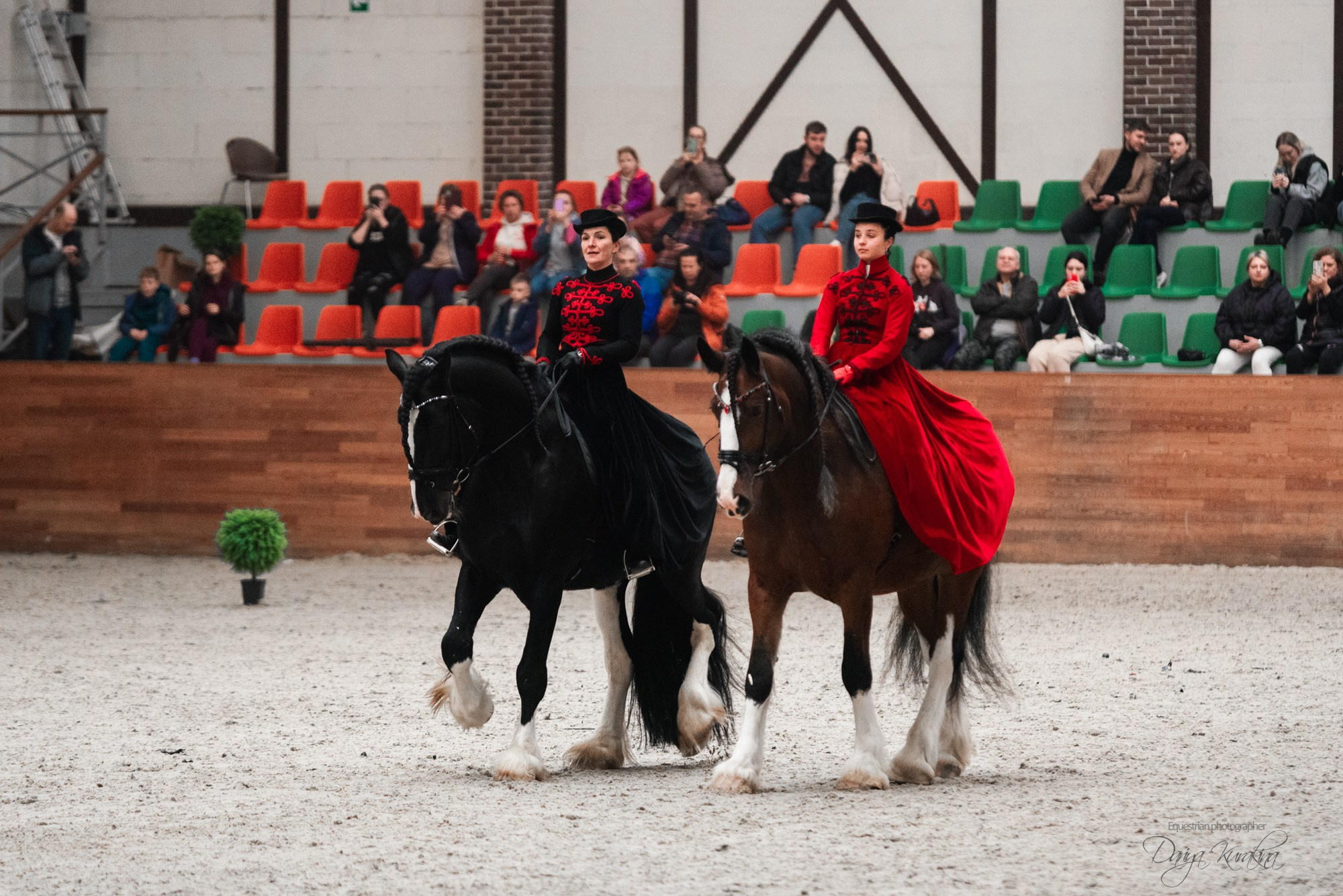 8-я международная выставка Конная Россия. Конный фотограф Куракина Дарья • Фотосессии с лошадьми