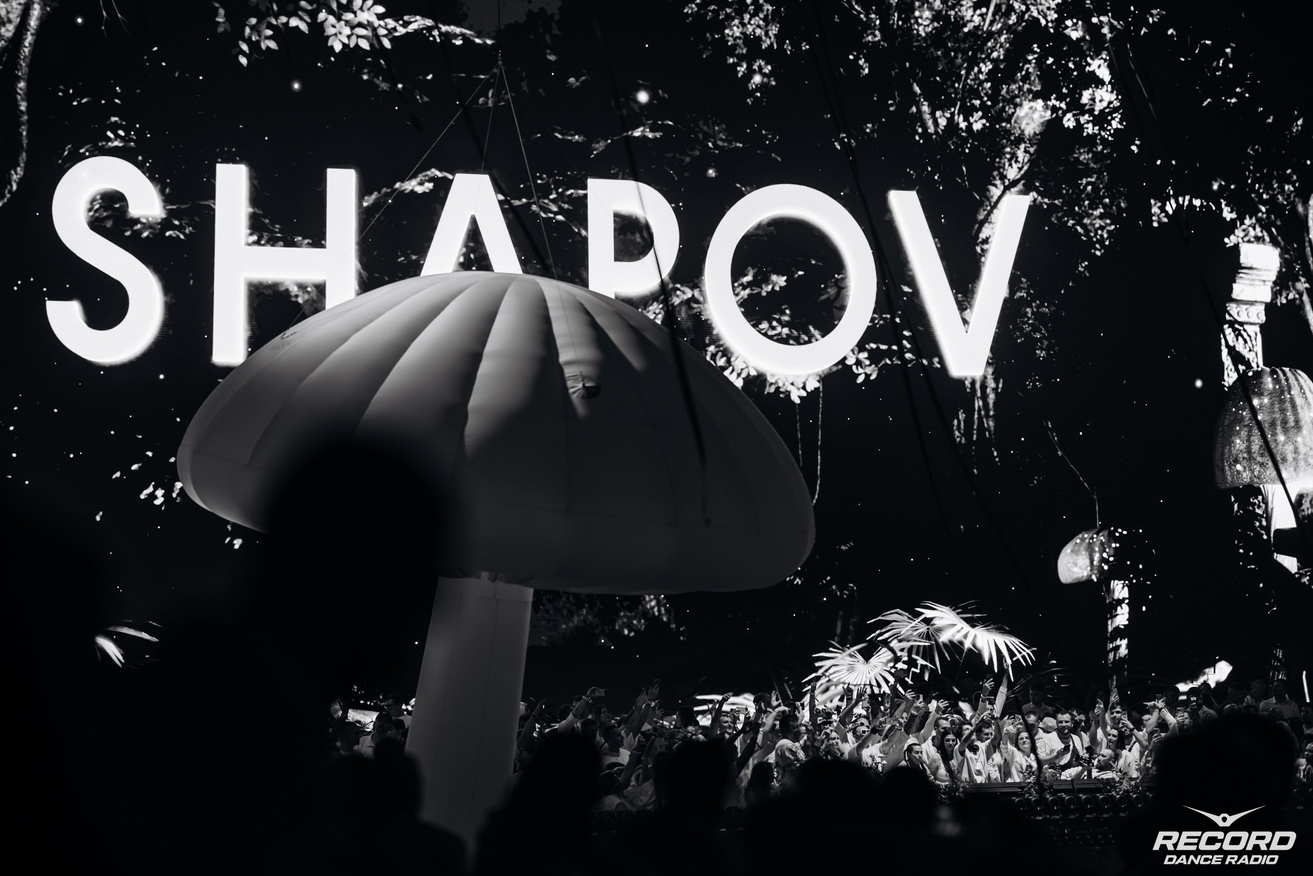 БЕЛАЯ. Репортажный фотограф Санкт-Петербург