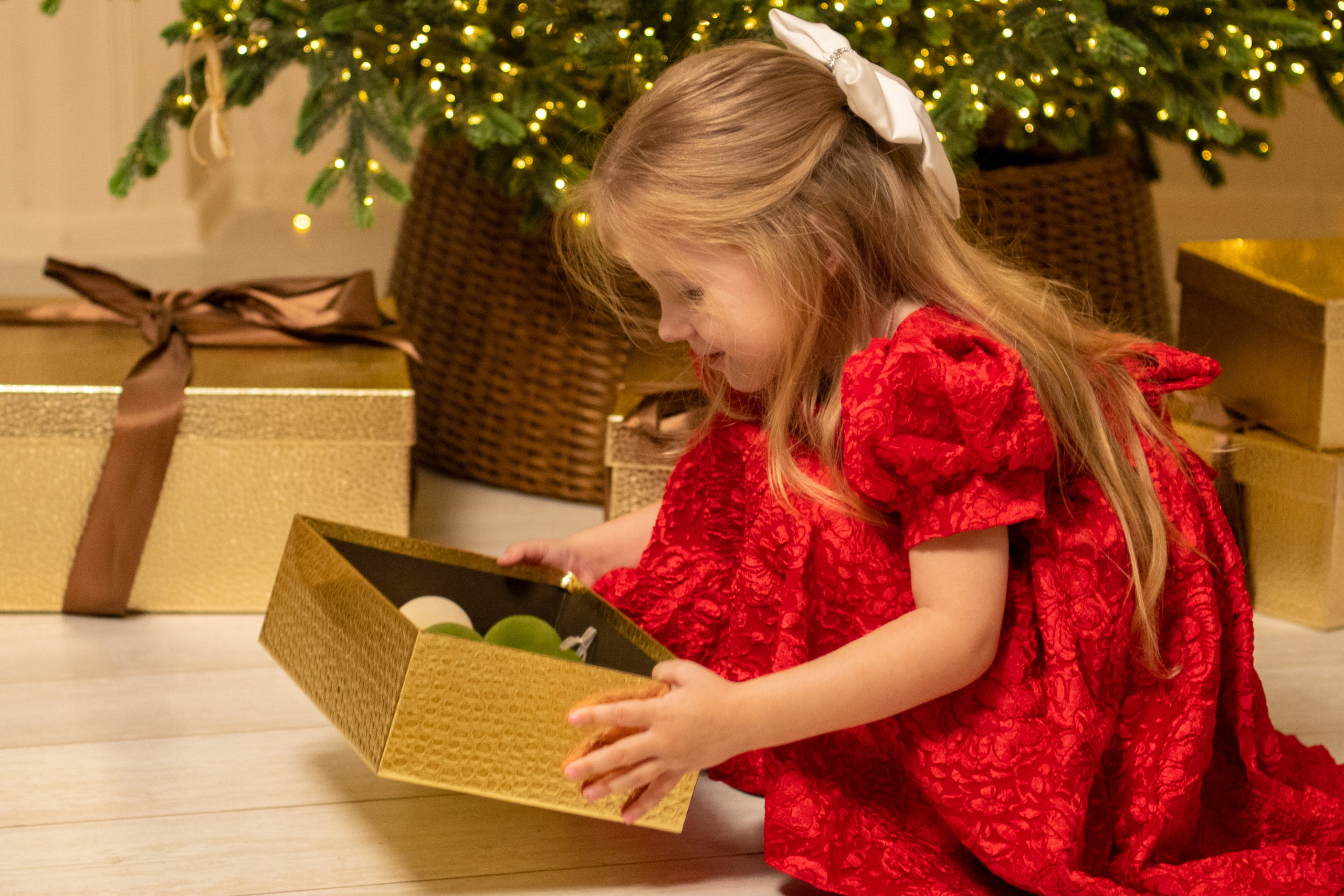 Фотопроект «НОВОГОДНЯЯ СКАЗКА». Фотохудожник Нина Жихарева