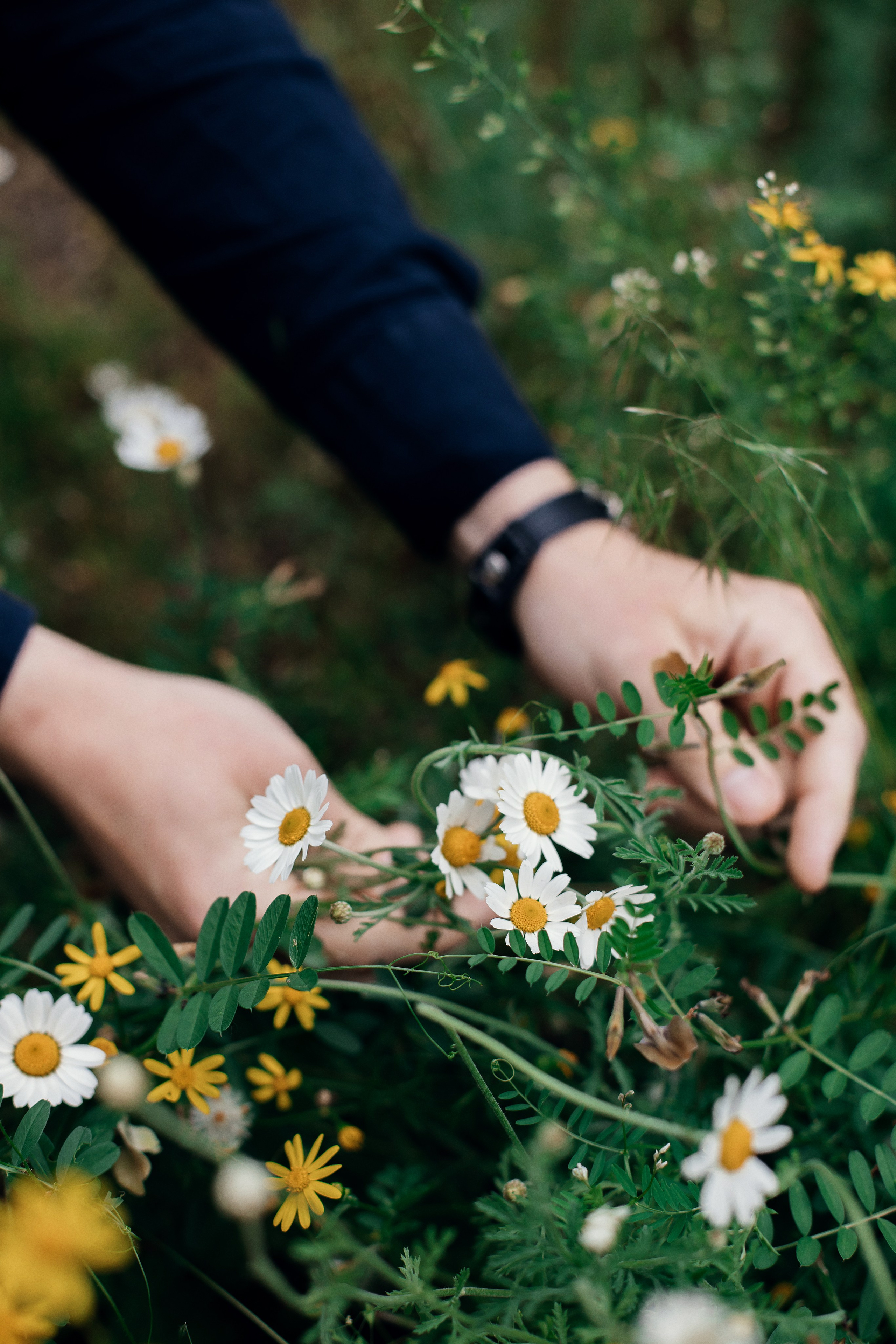 Алёна и Серёжа. Екатерина Ярковая фотограф