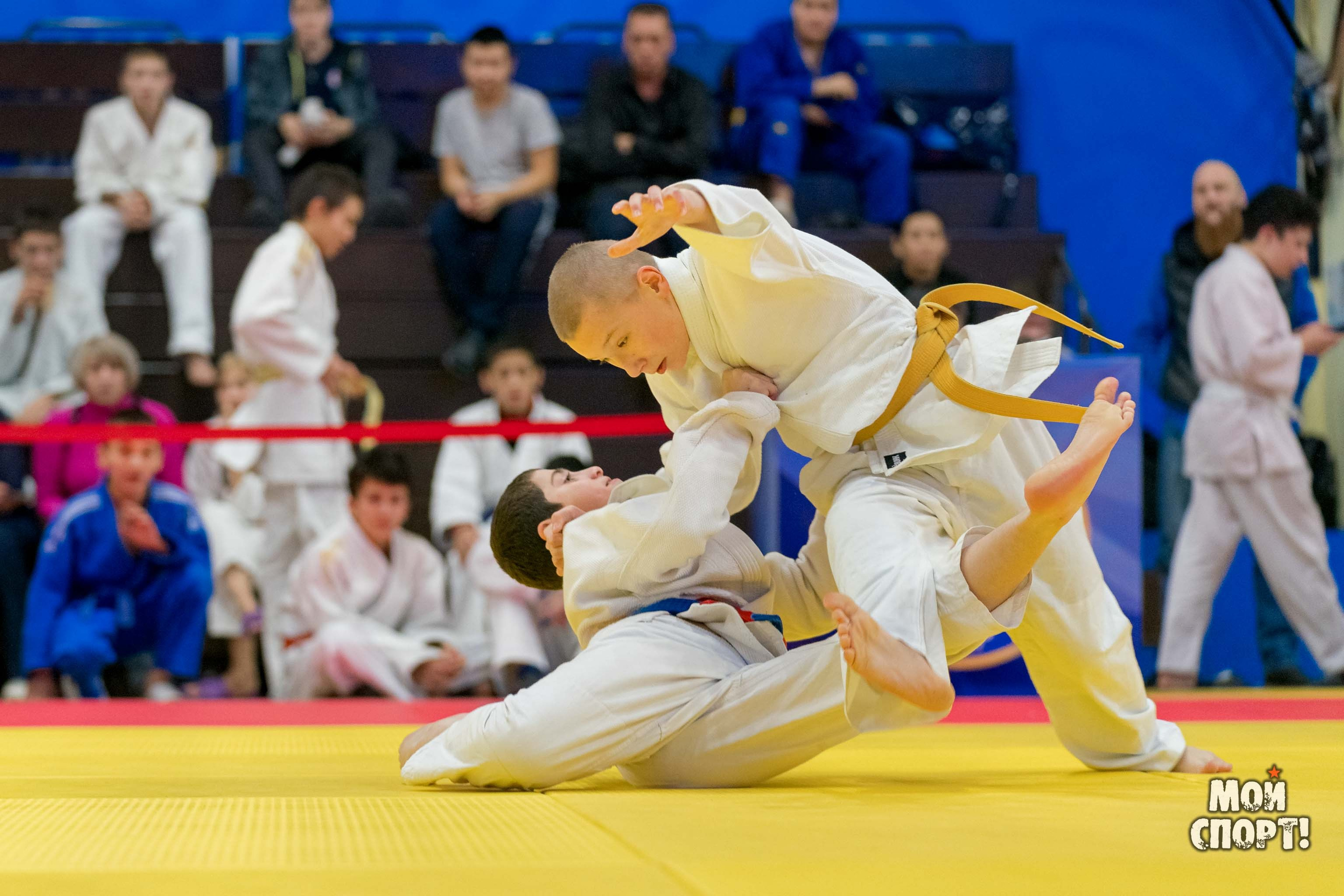 Открытый республиканский турнир по дзюдо на призы ГБПОУ РС (Я) «РУ (К)ОР им Р. М. Дмитриева». Студия «Мой Спорт!» — все о спорте в Якутии