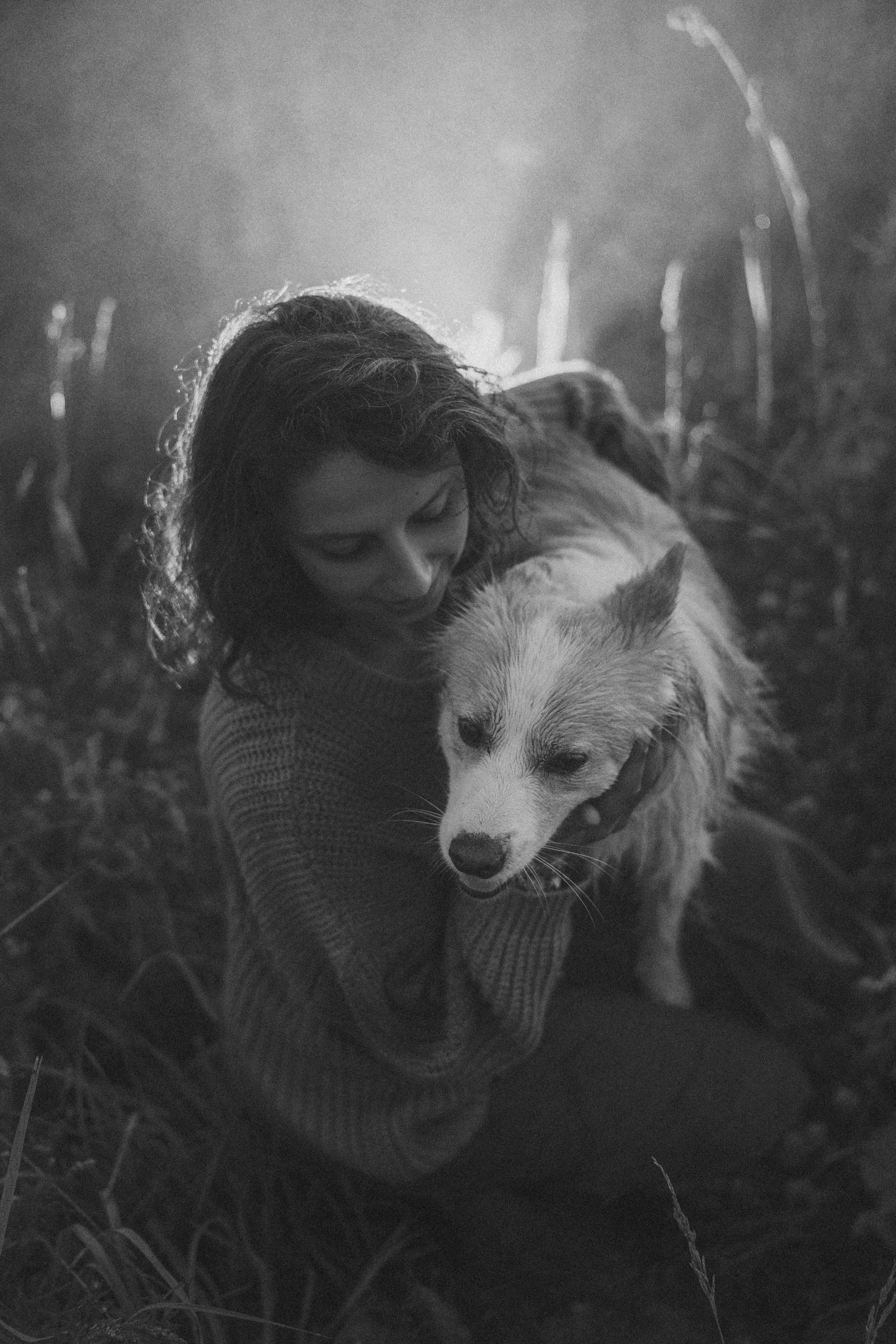 Рина и Марси. Фотограф анималист в Москве и Санкт-Петербурге Свиридова Анна