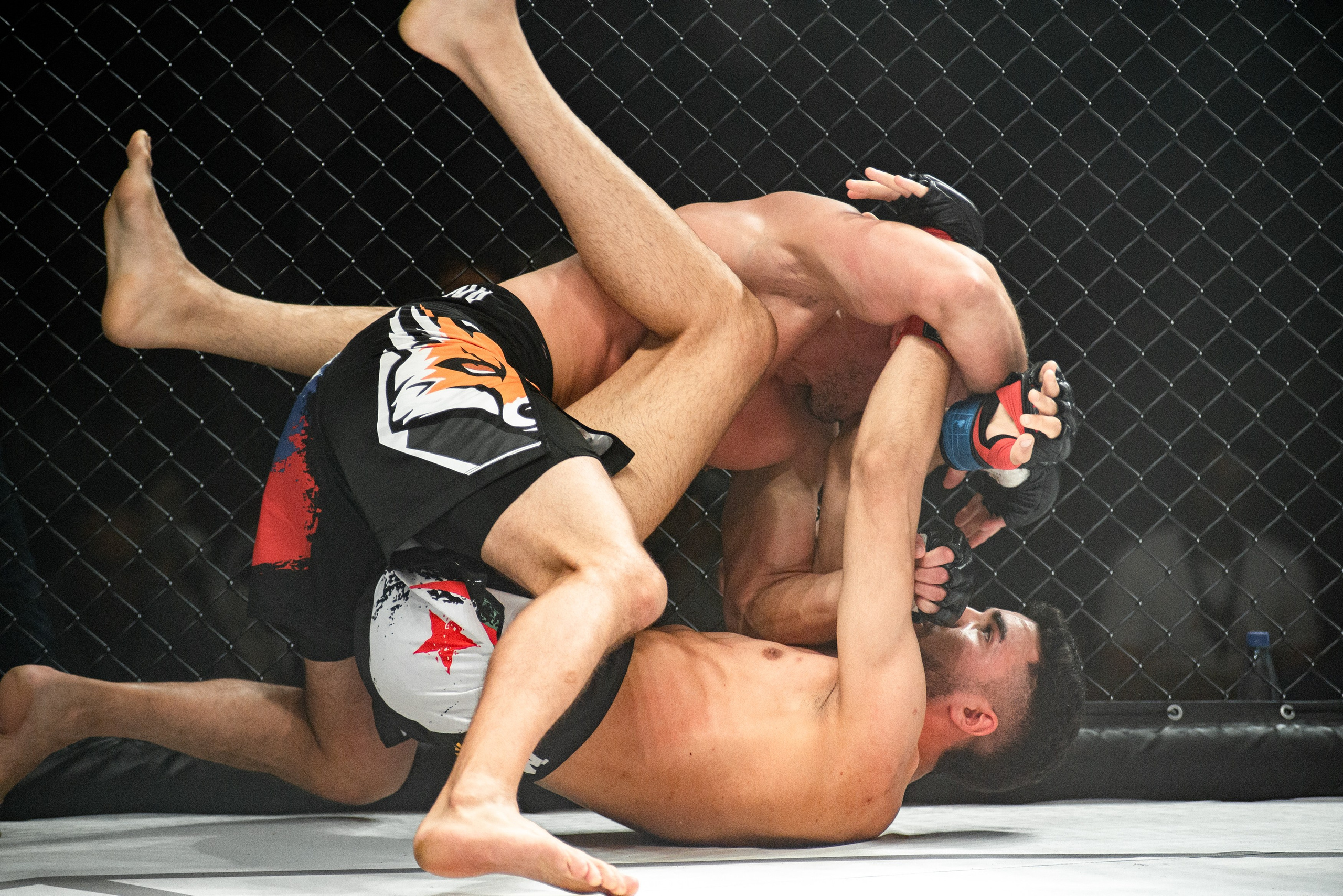 Miroslava Fight