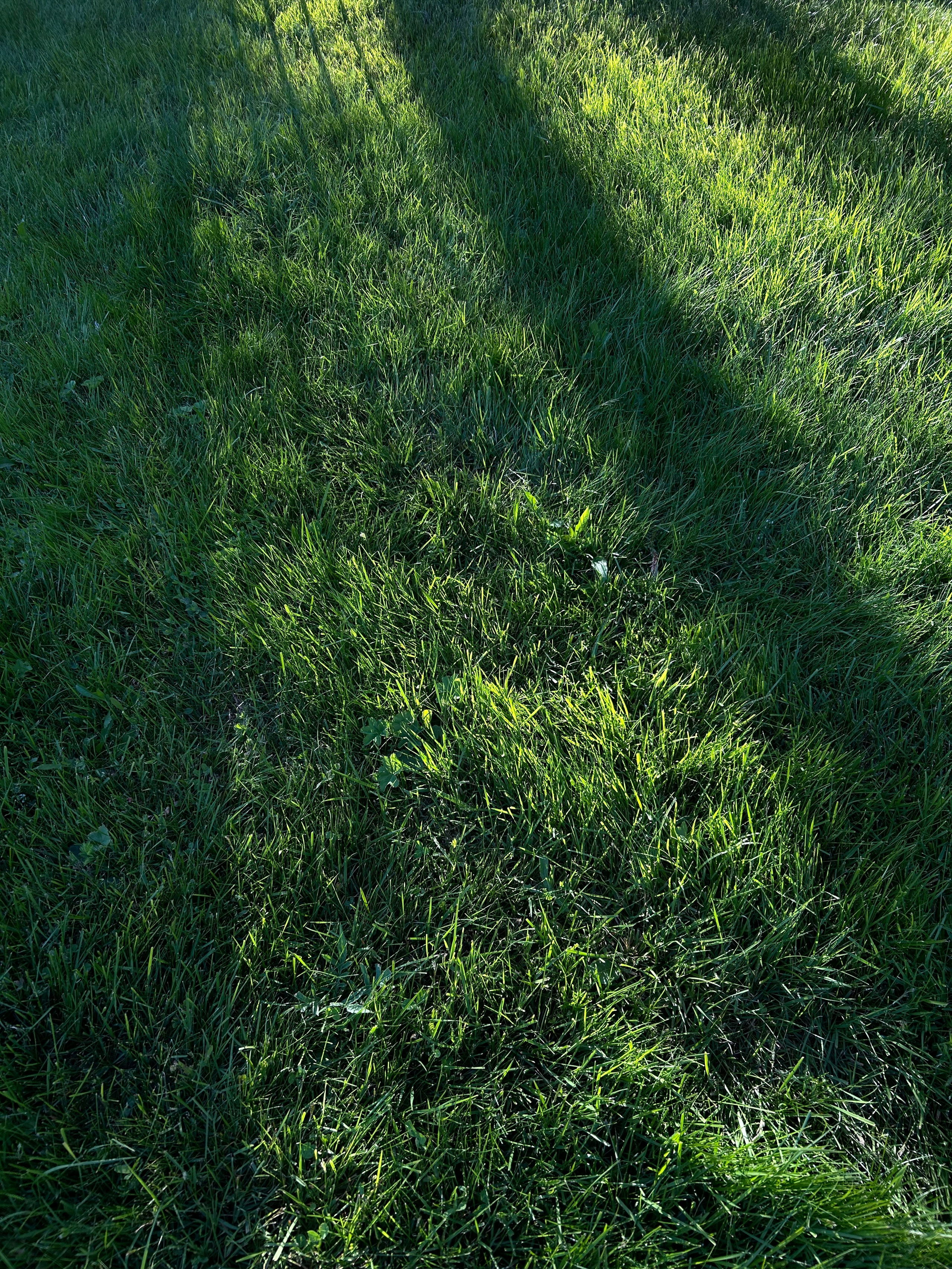 Природа. Фотокружок «Видоискатель» ГБОУ СОШ № 291