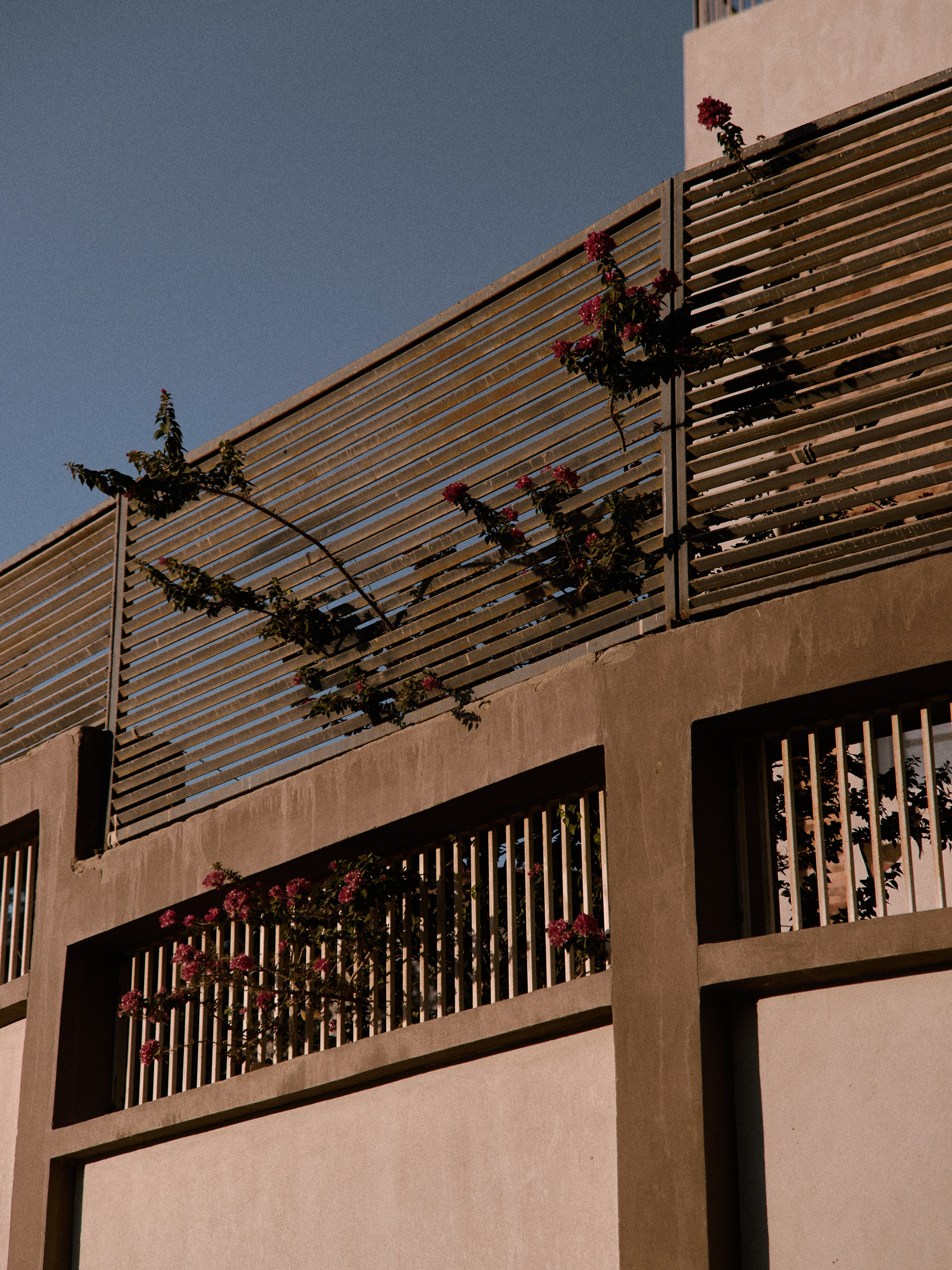 Диптих. Jorgis — фотограф в Хургаде / обучение фотографии