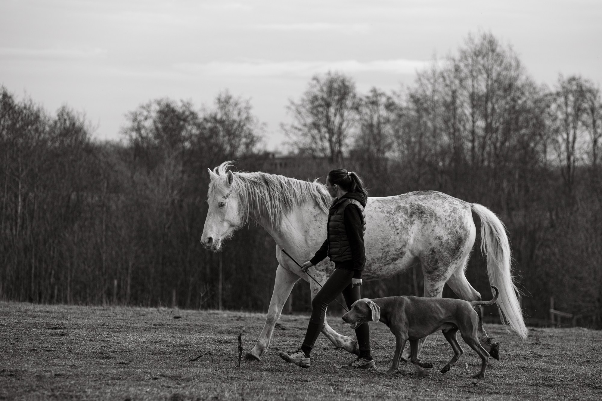 Портретная съемка, портрет девушки, фотография, фотограф спб, портретный фотограф спб, студийная съемка, съемка в студии, профессиональный фотограф, фотосессии дома, фотосессия с девушкой, домашние съемки, фотосессия с парнем, конная фотография, съемка с лошадью, lifestyle фотография, фотограф спб, питер фотограф, лавстори, лайфстайл