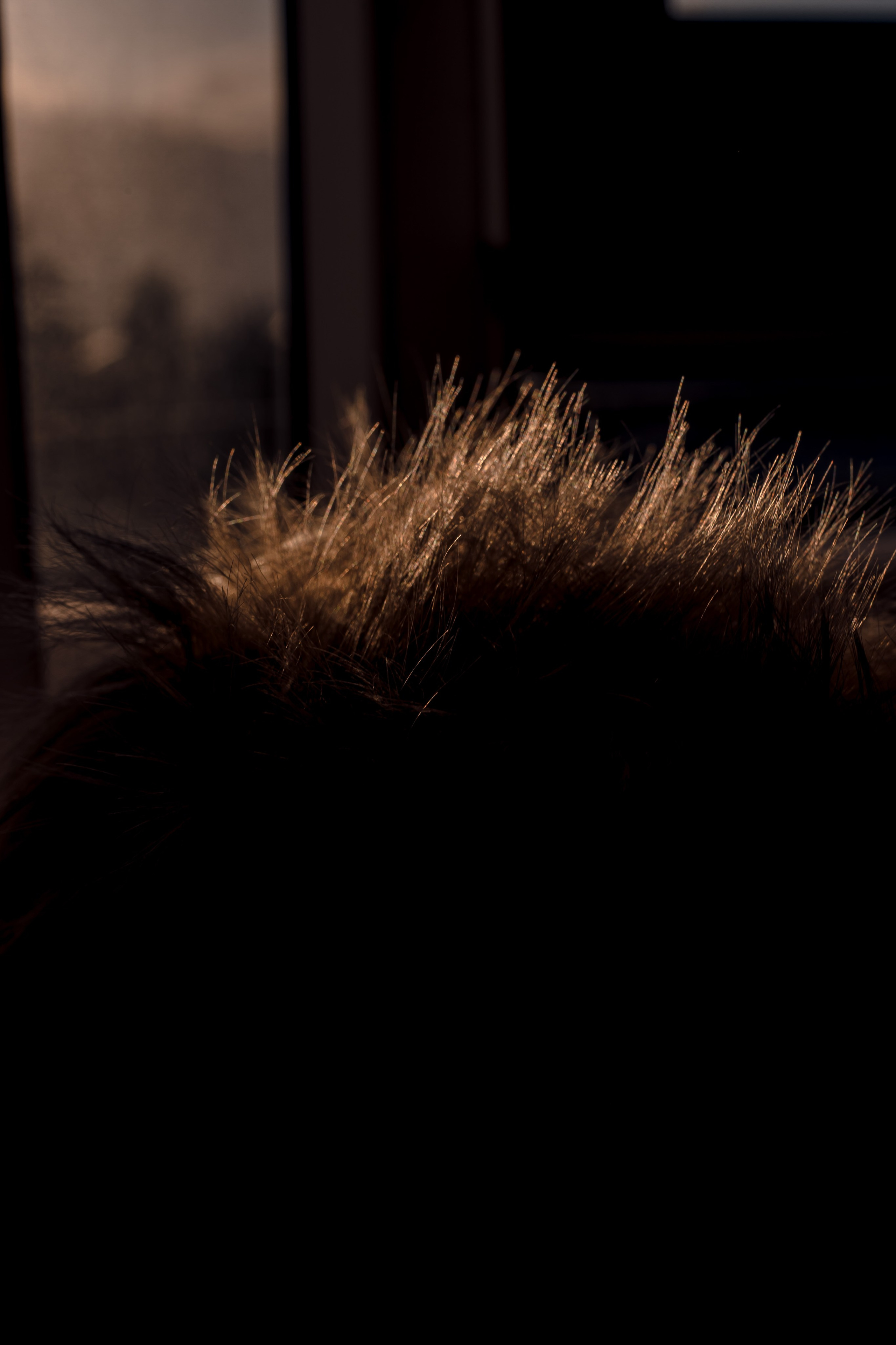 PSY THERAPY (18+). Art Photographer