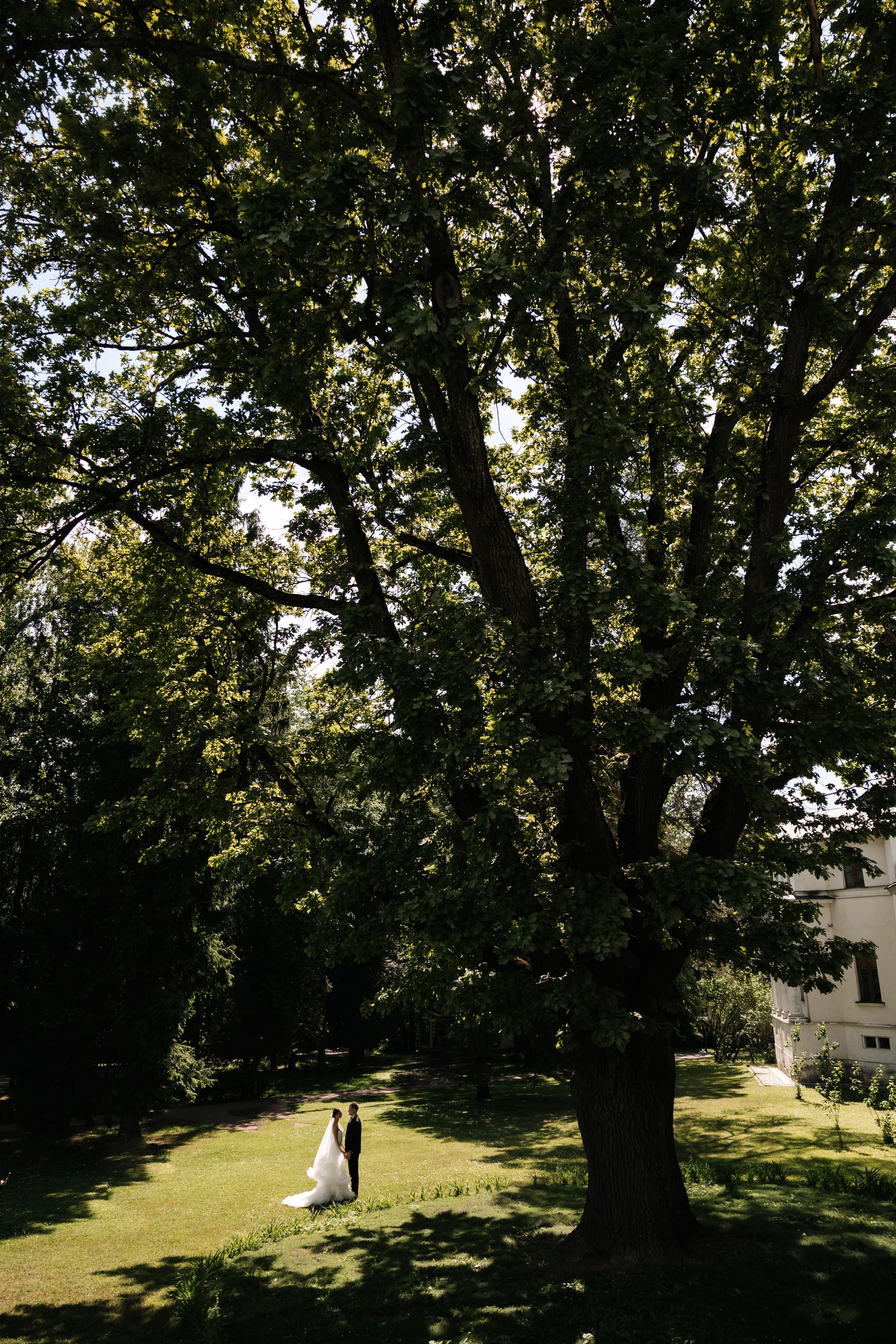Дарья и Никита. Свадебный фотограф Москва Мотеюнайте Виктория