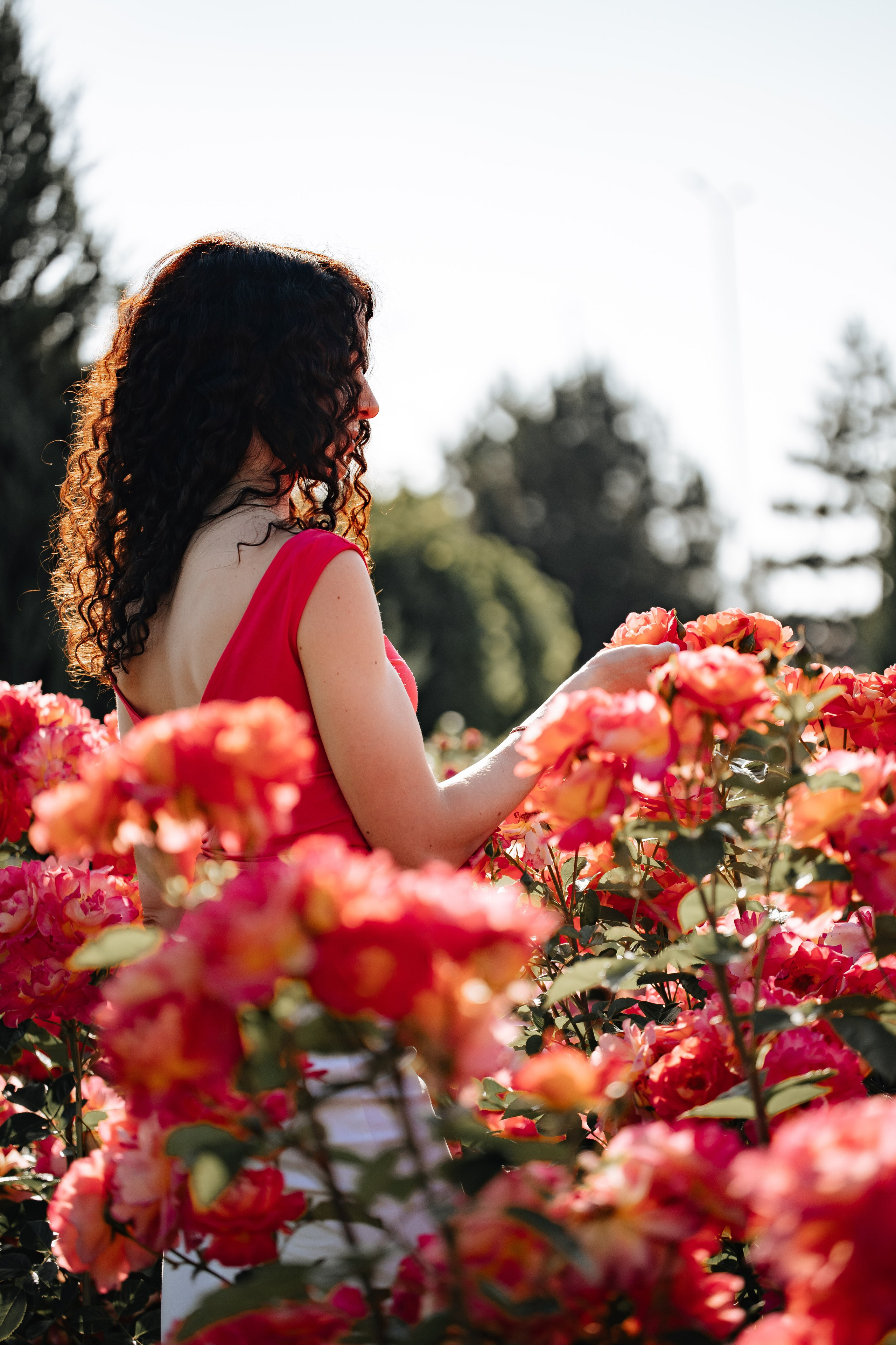 Лето. Профессиональный фотограф и видеооператор