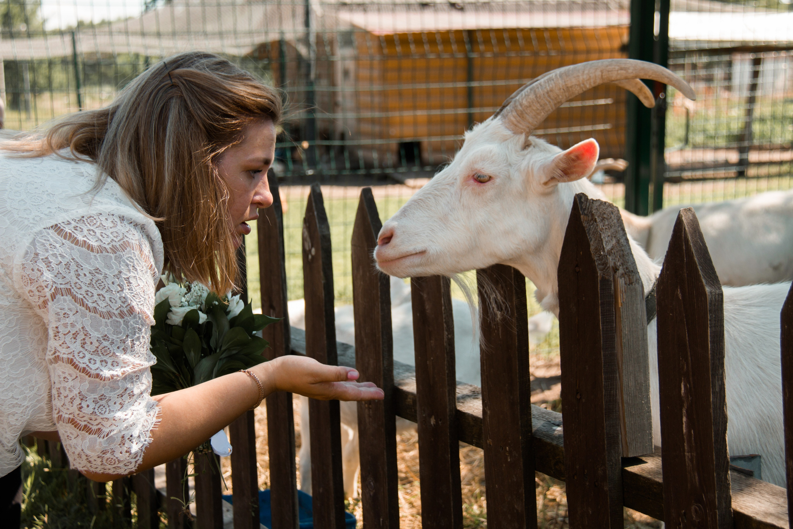 Семейная съёмка в Петергофе. Свадебный, семейный и контент фотограф в Санкт- Петербурге Елена Грие