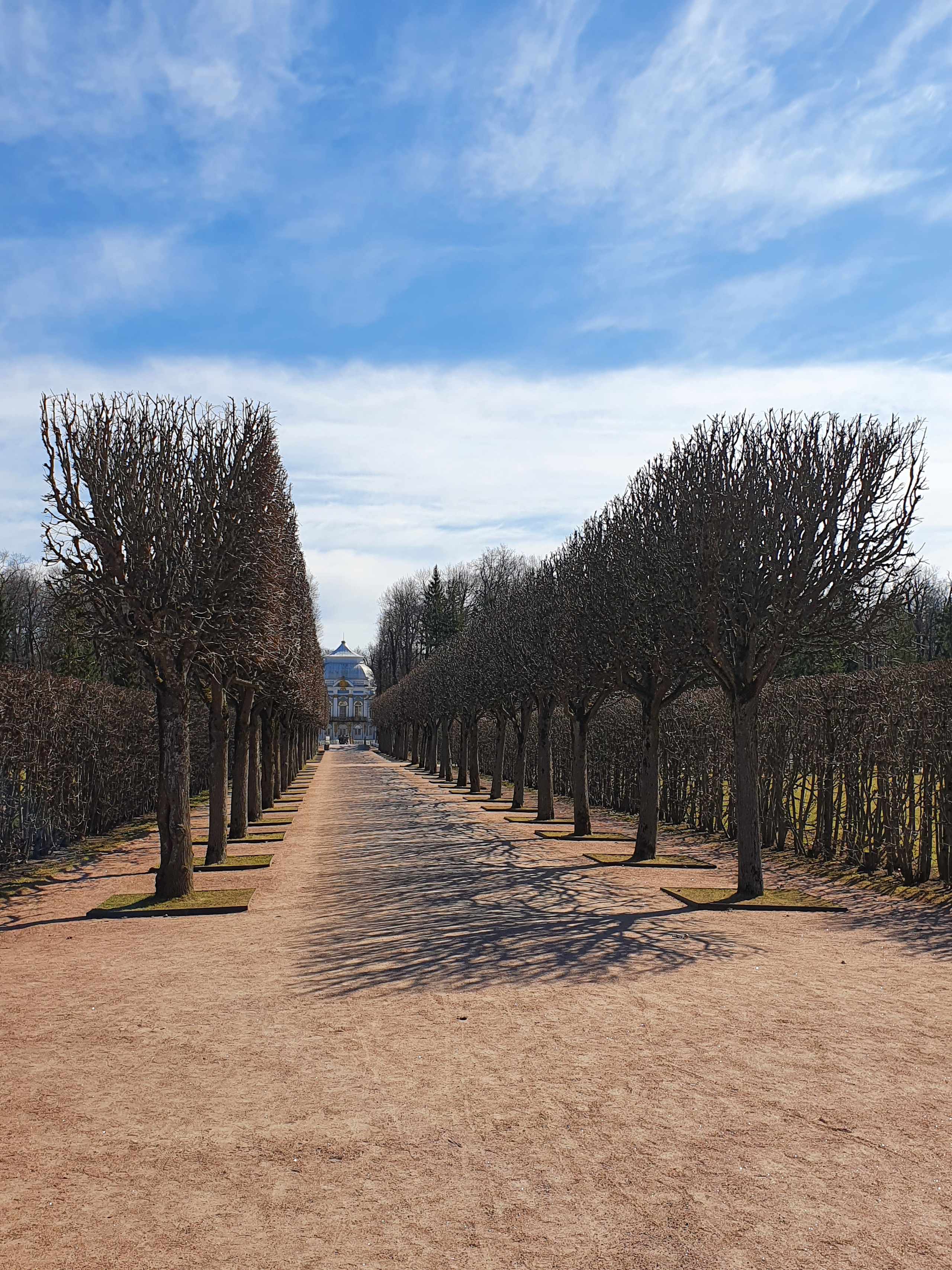 Интересные фотографии с мобильного телефона. Фотограф в Москве и Подмосковье, Николай Сорокин