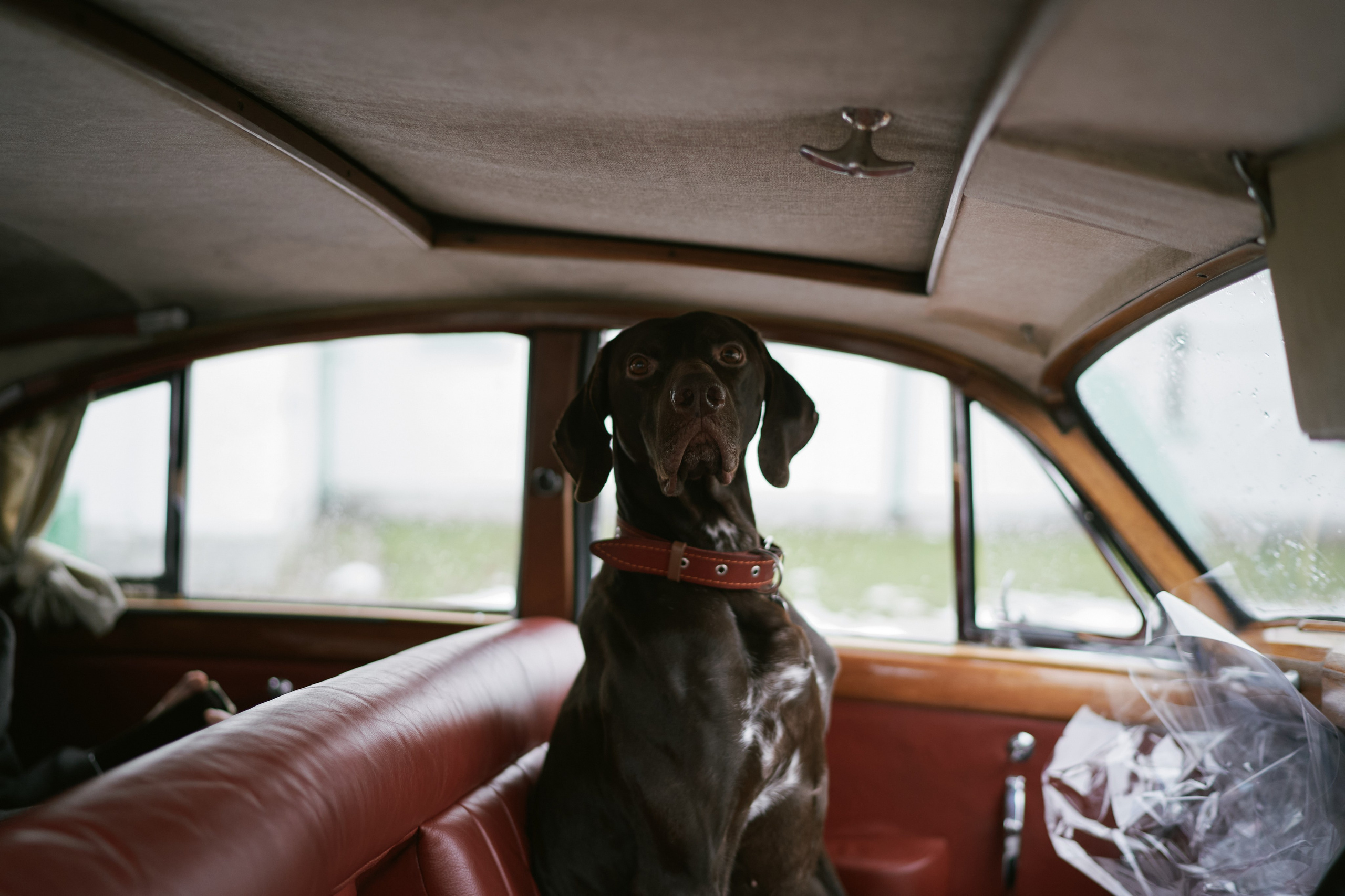 Наташа и Антон. Фотограф в Санкт-Петербурге | Аня Маленчук