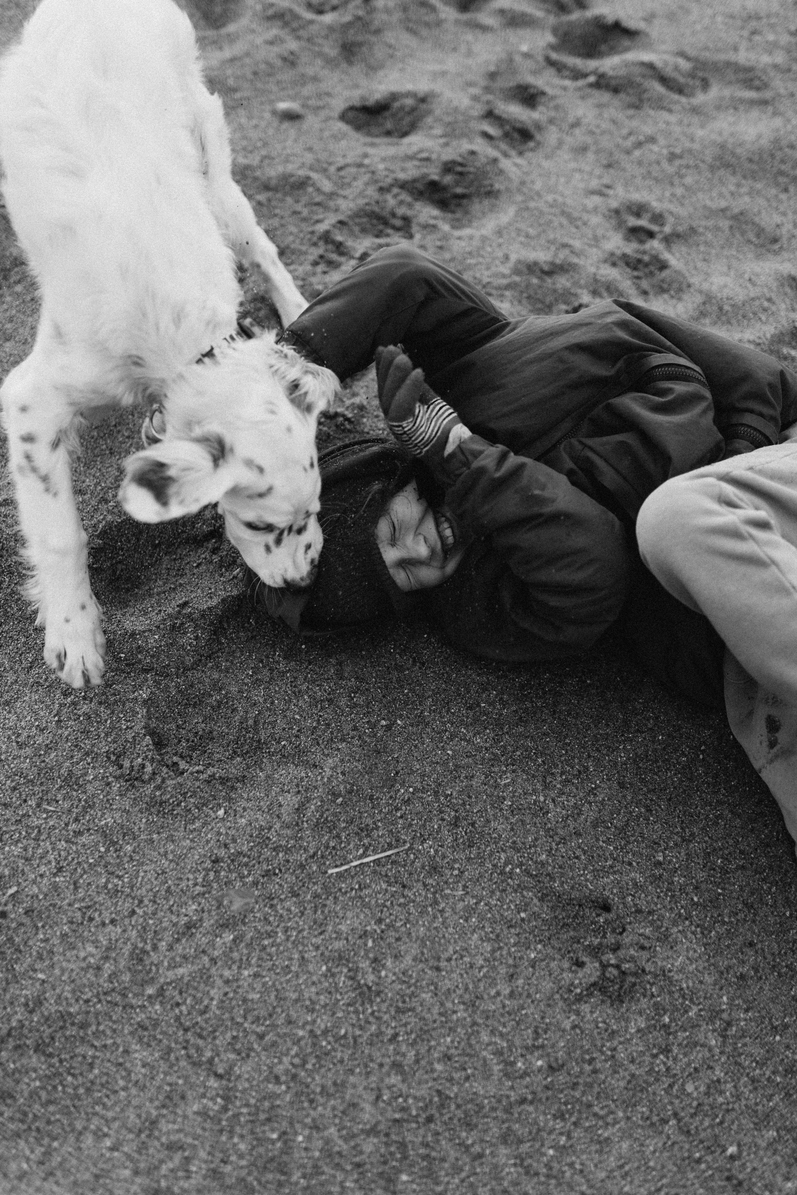 Октябрь. Фотограф из Петербурга