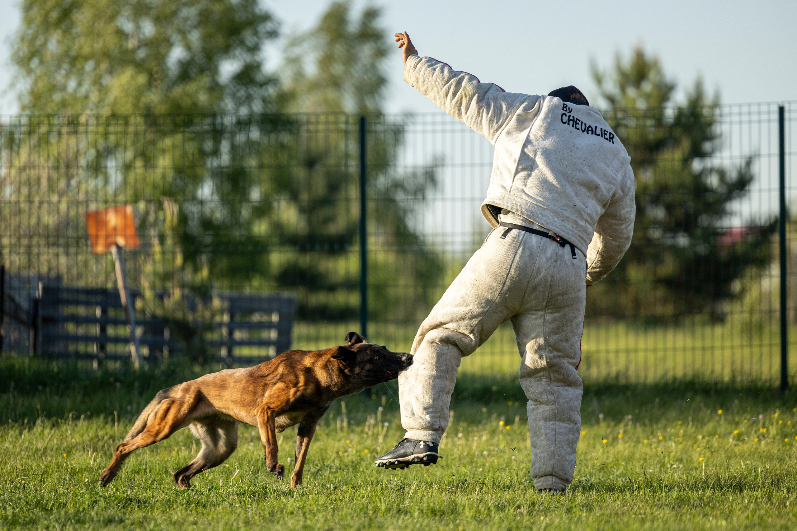 Испытания по мондьорингу в Нижнем Новгороде. Фотограф-анималист Анна Маринич