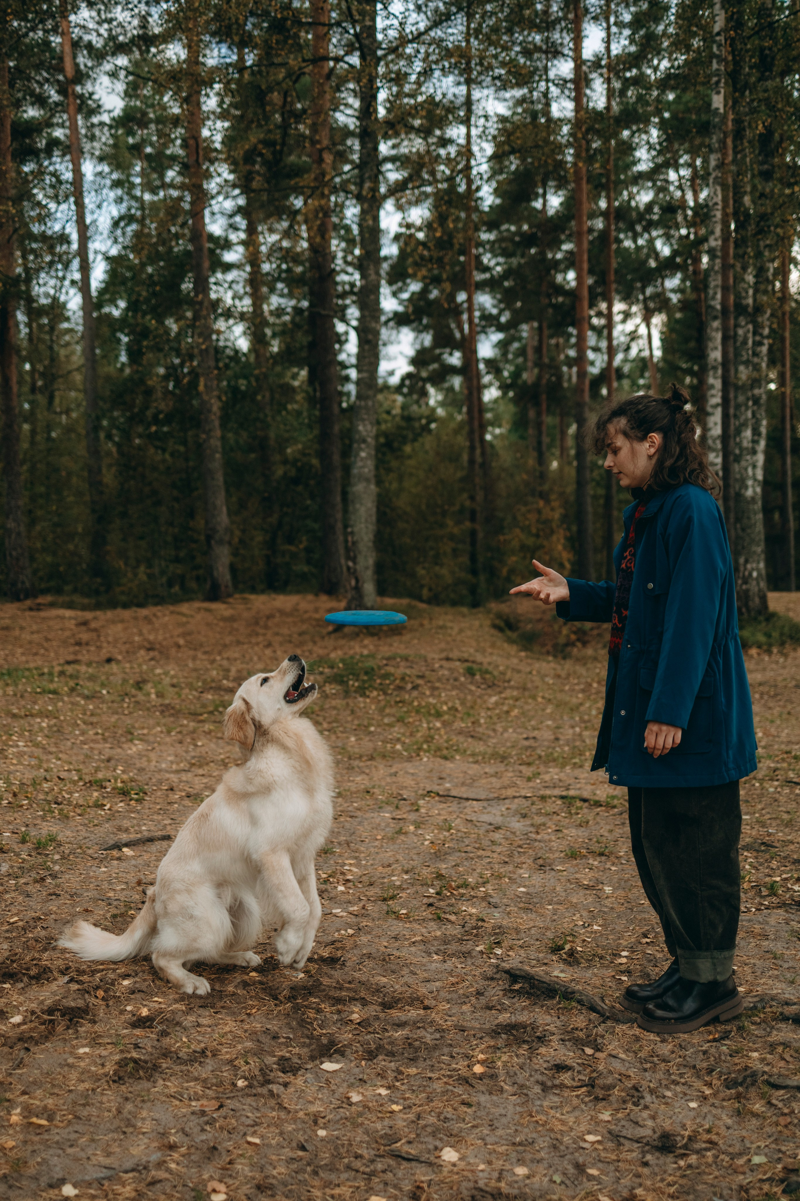 Прогулка Насти с Арчи и Арагоном. Фотограф-анималист в Санкт-Петеребурге Титова Алиса