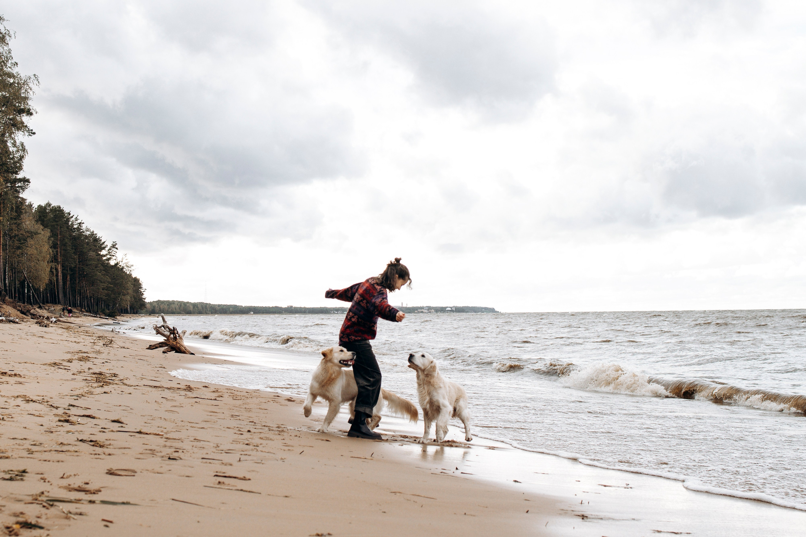 Прогулка Насти с Арчи и Арагоном. Фотограф-анималист в Санкт-Петеребурге Титова Алиса