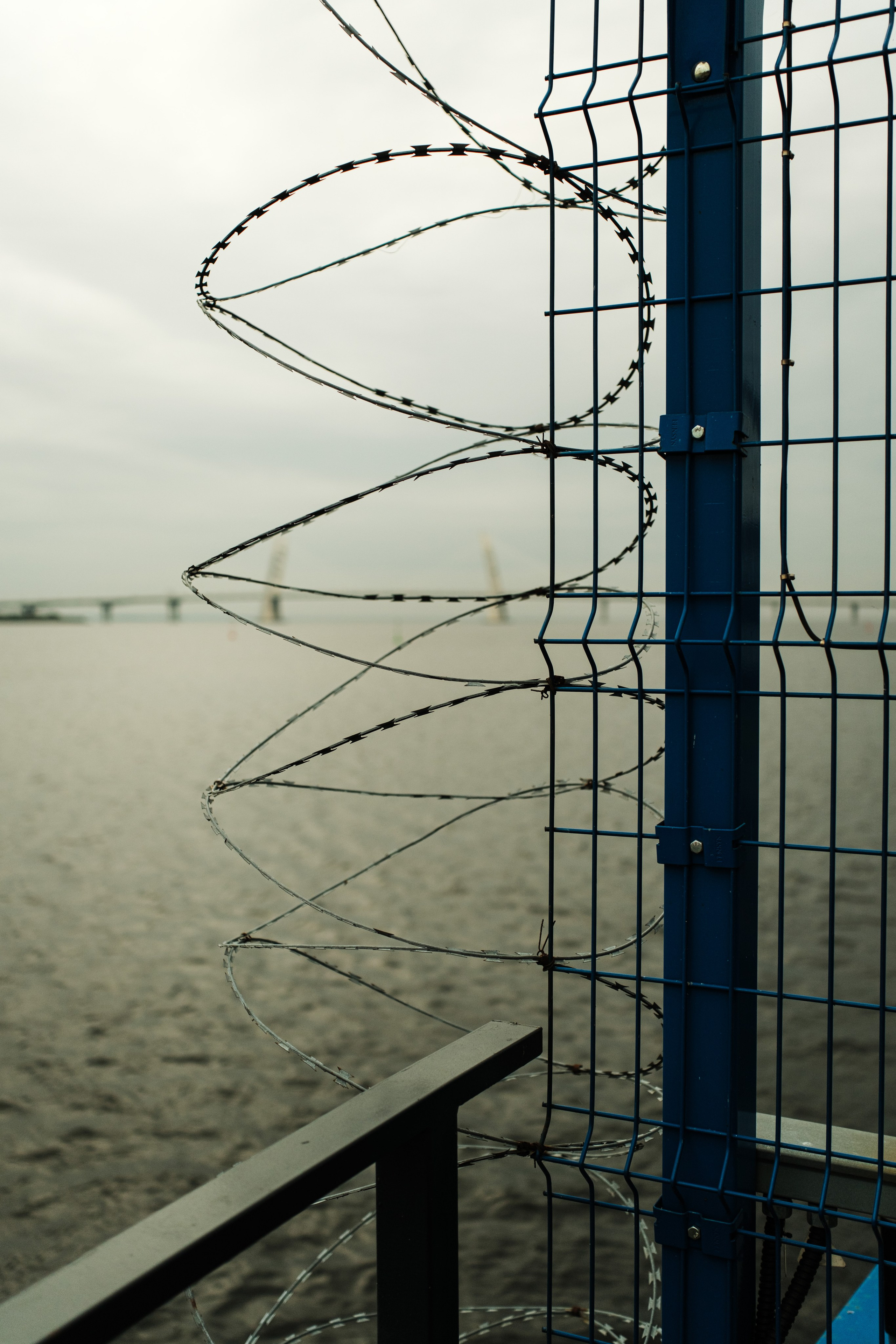 Street. Фотограф в Санкт-Петербурге Шевцов Андрей