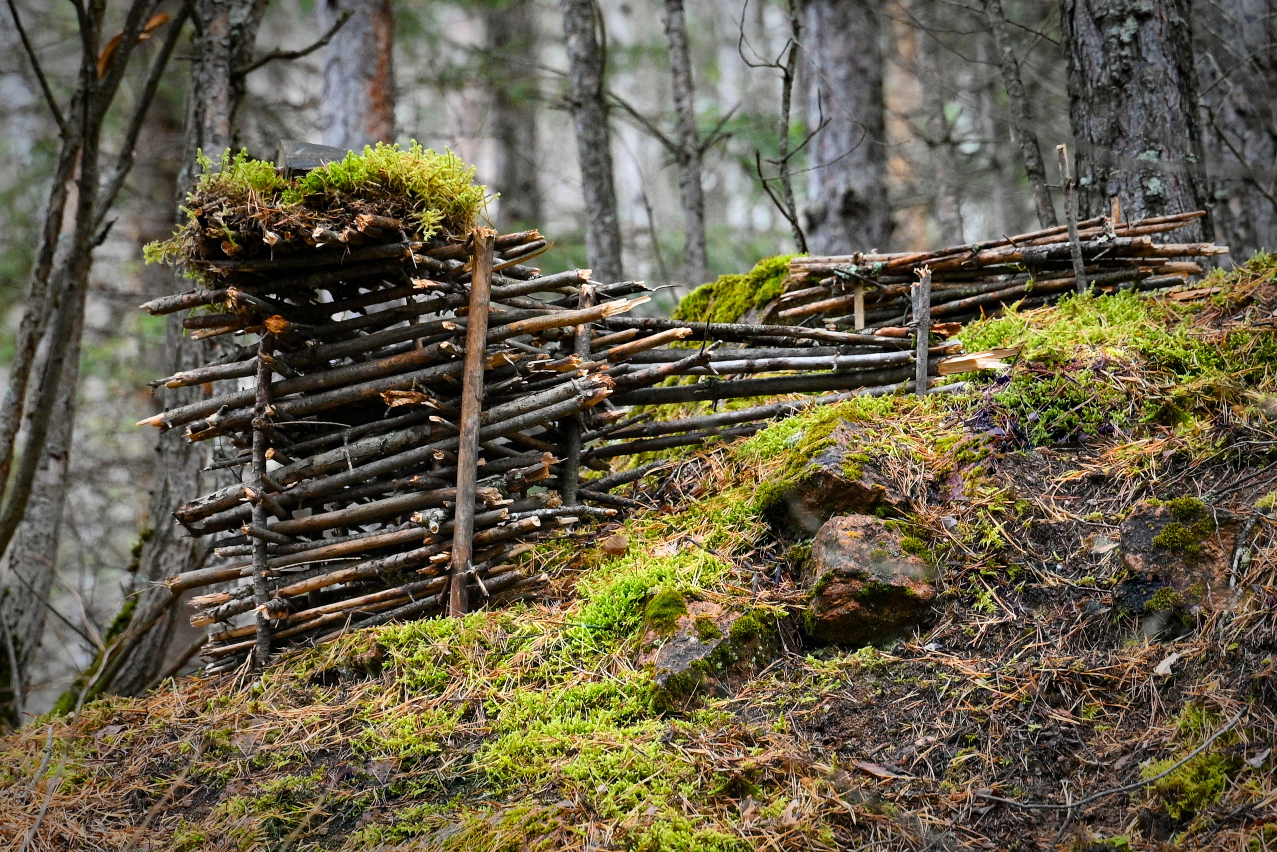 Осень. FotoGraf