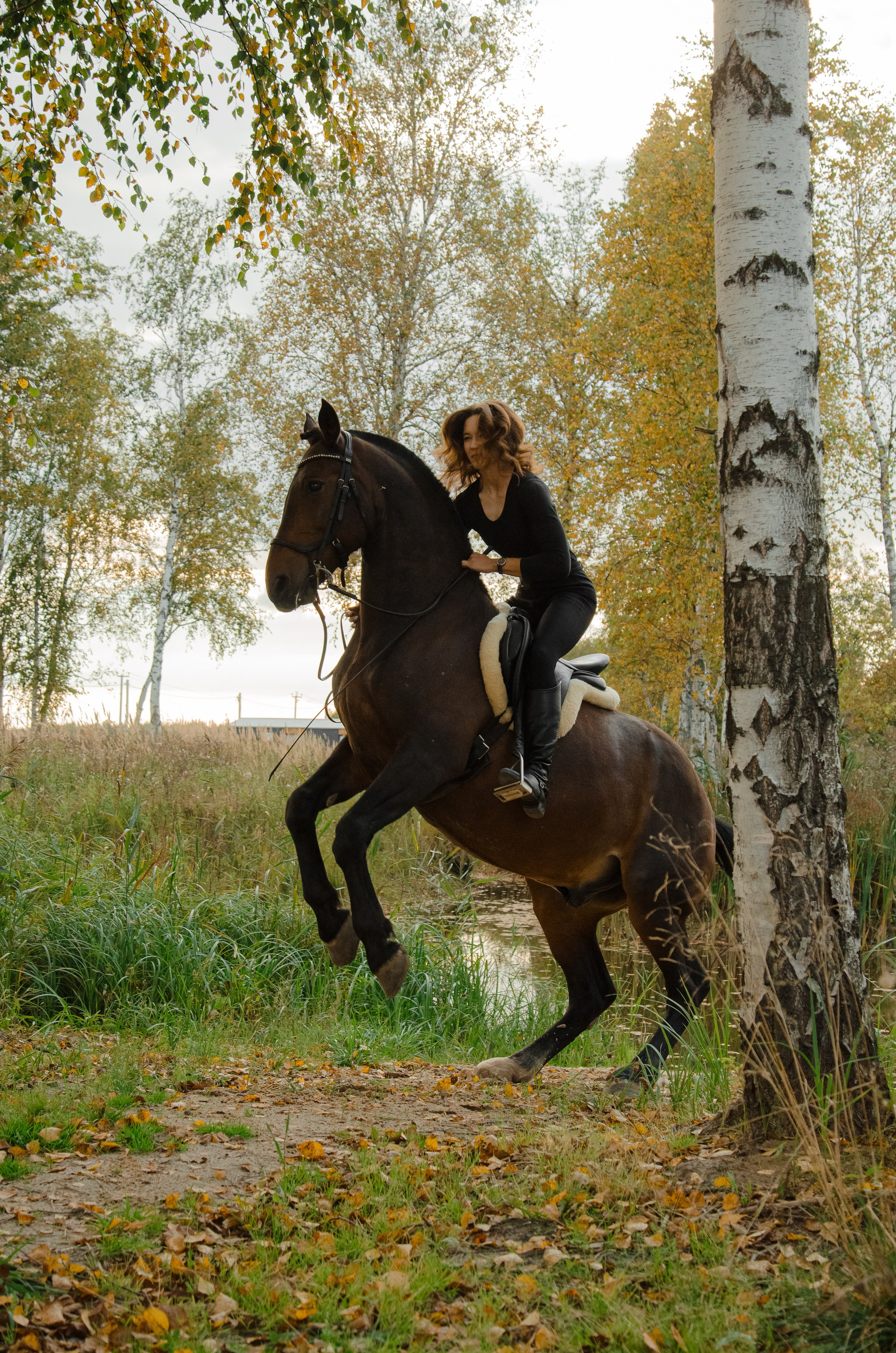 Дом-музей лошадей Хуторъ. Фотографы в Тюмени Андрей и Лидия Войвод