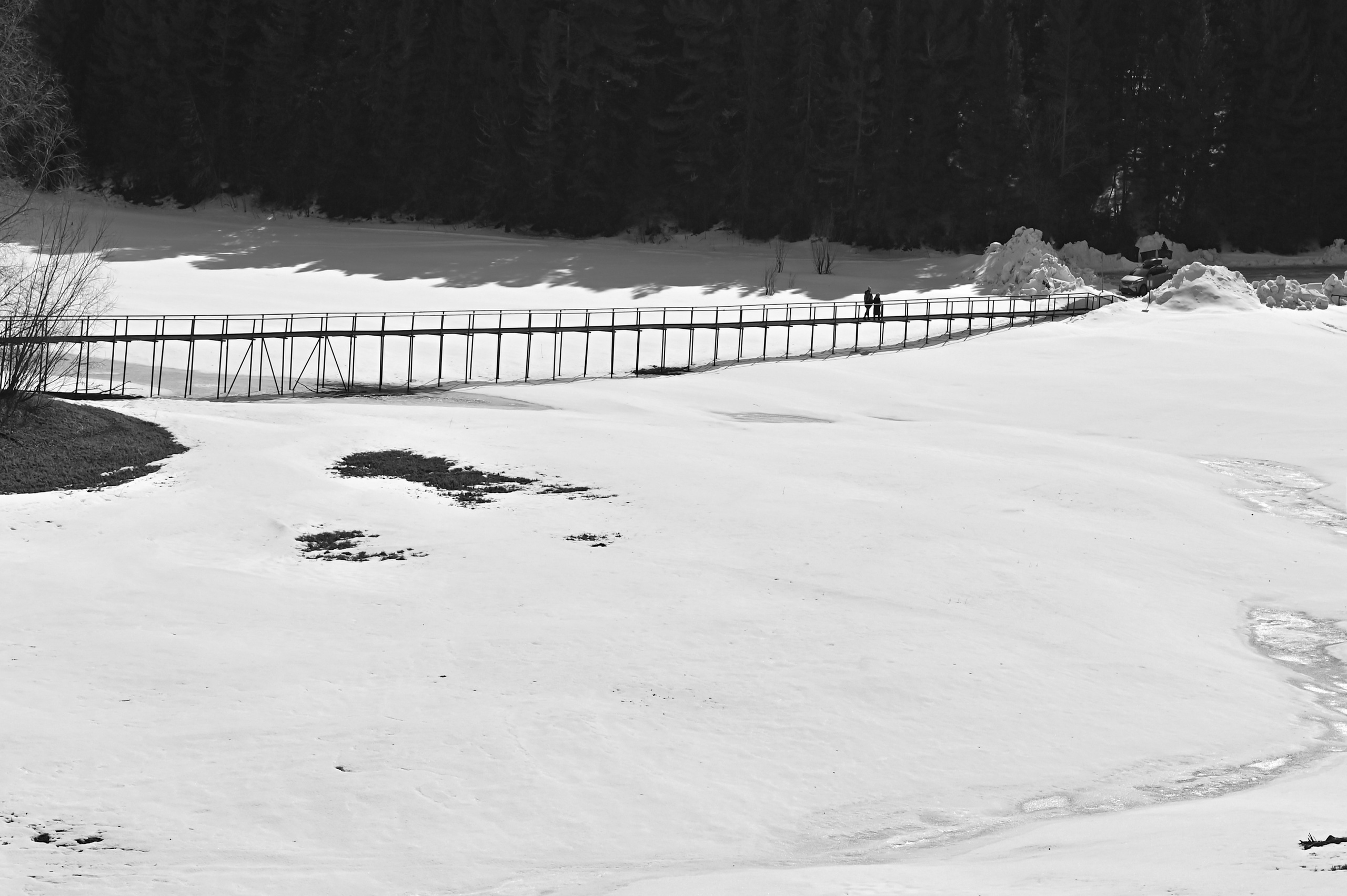 Безмолвие пустоши. Междисциплинарный художник Екатерина Старовойтова