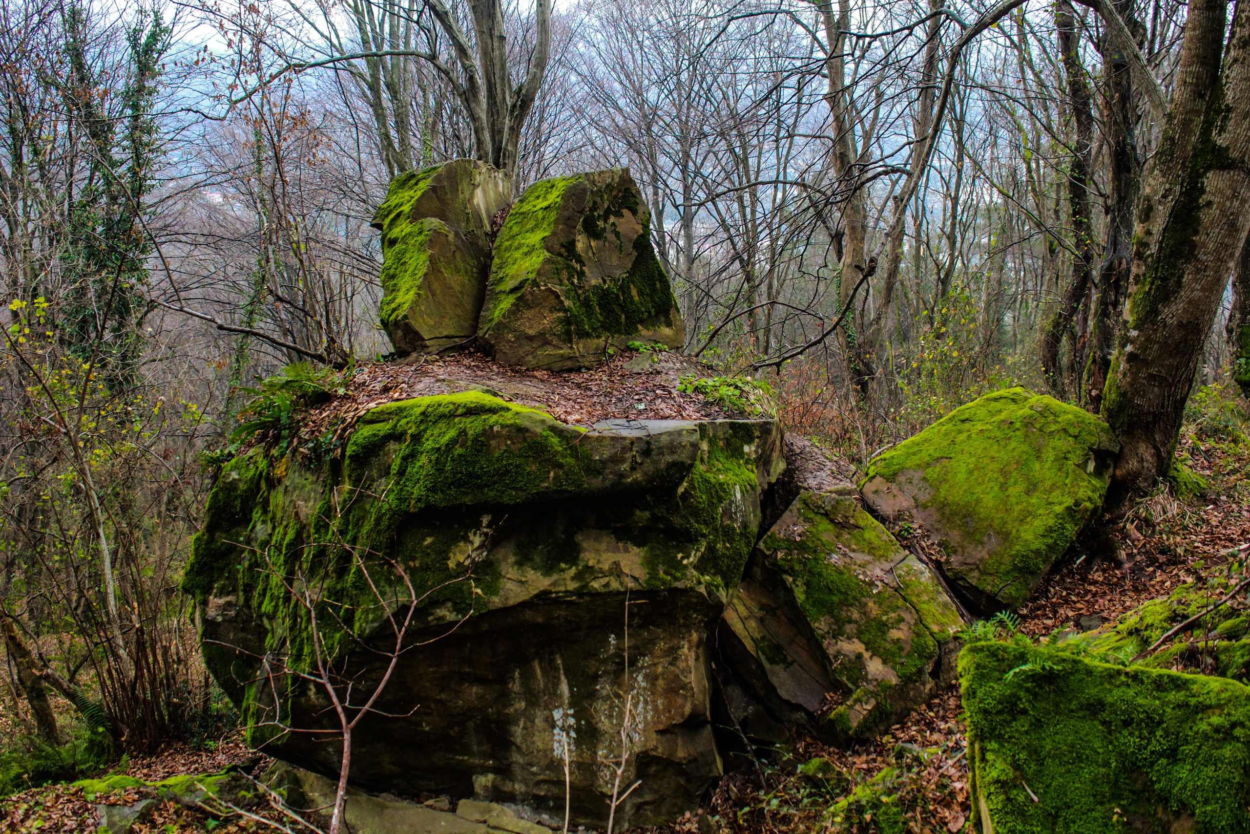Репортажная съёмка. Ваш семейный фотограф Евгения в г. Москва