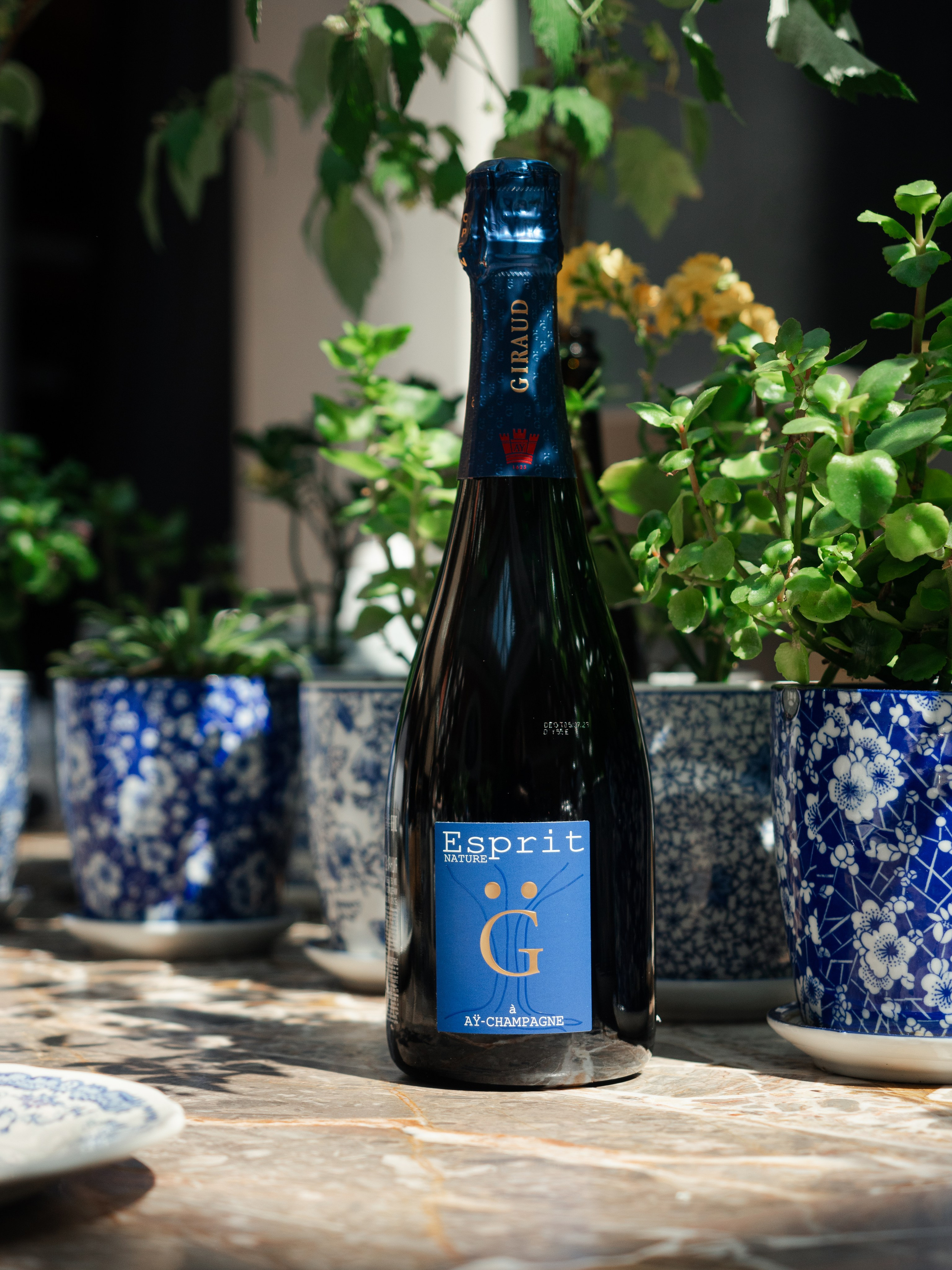 Joli. Фотограф Калинич Юлия