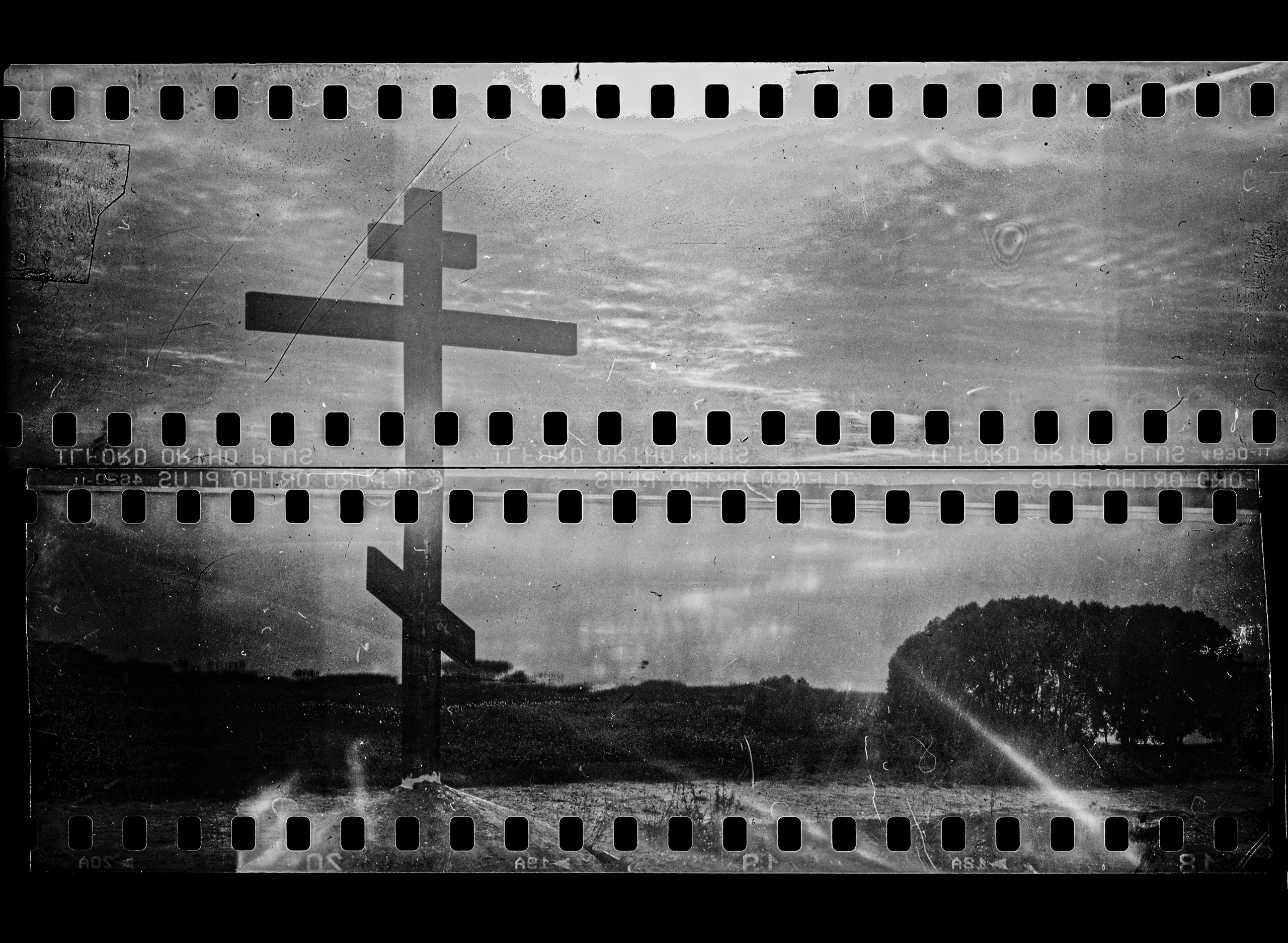 Ilford Ortho