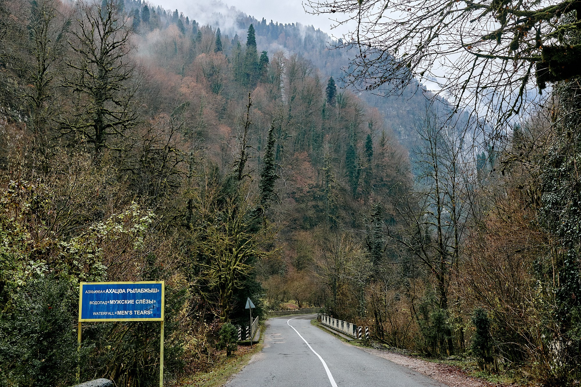 Озеро Рица, Абхазия. Декабрь 2024. Фотографии отовсюду и обо всем