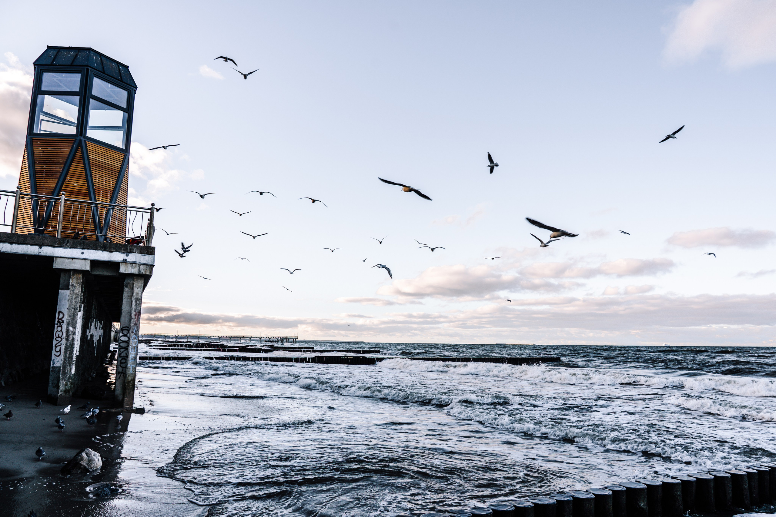 Калининград 2025. Легкая фотография