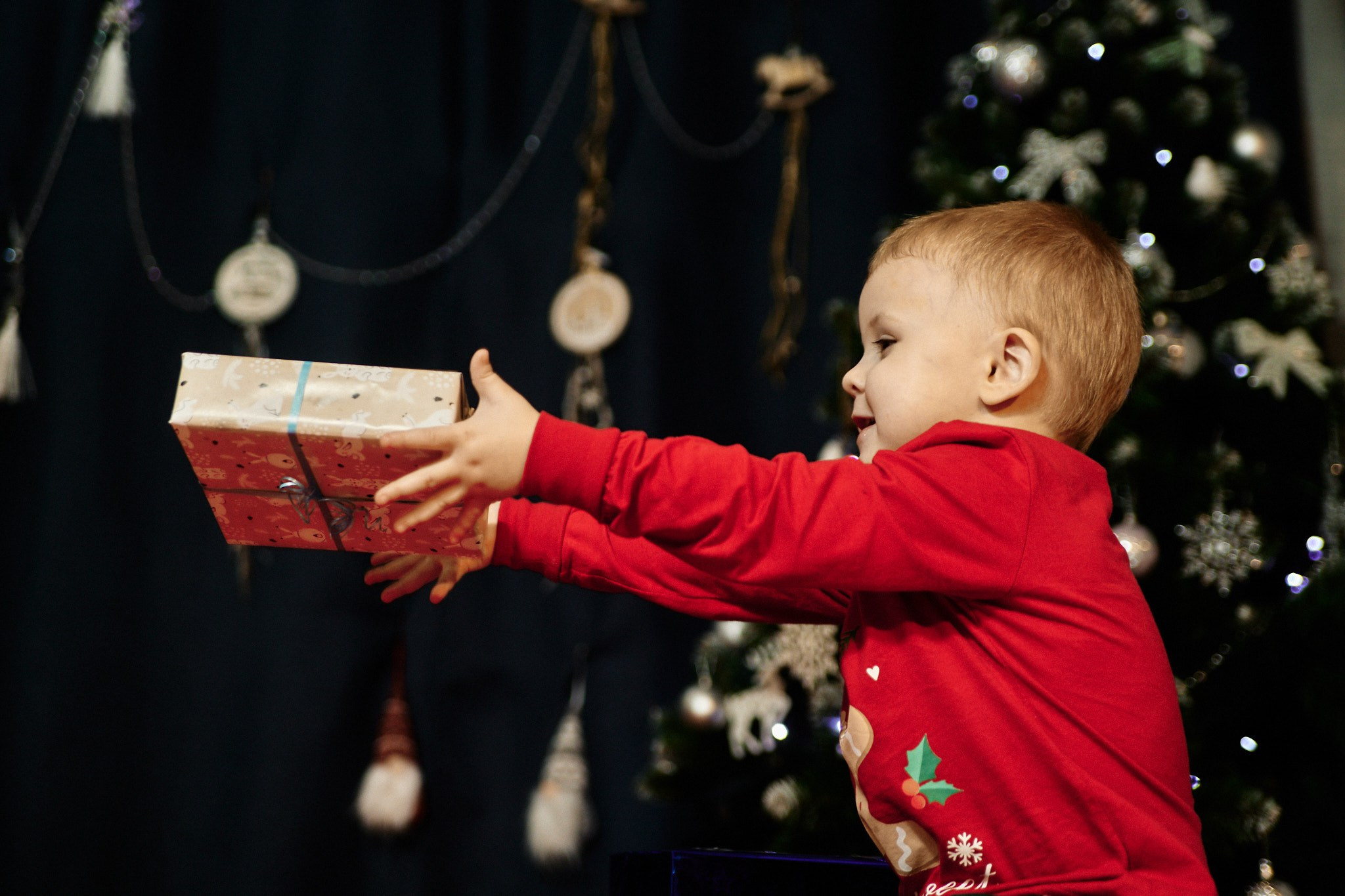 Новогоднее настроение в семье Леши и Кати. Свадебный и семейный фотограф в г. Волхов Алексей Кочерыжкин