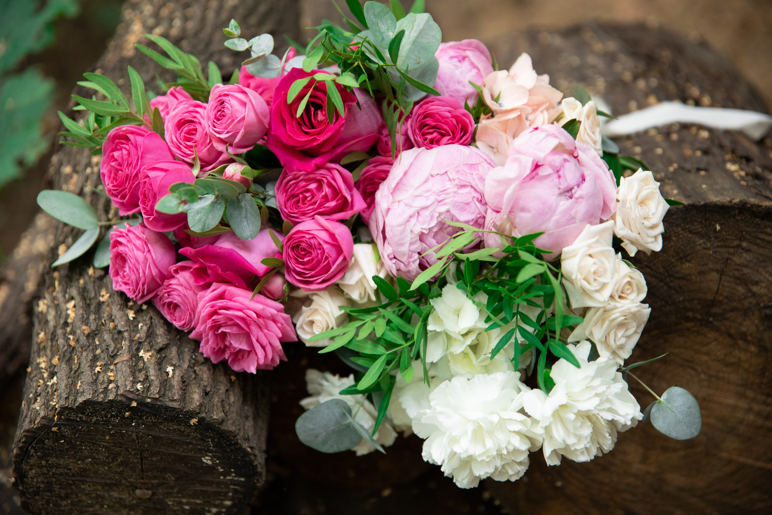 Вероника и Илья