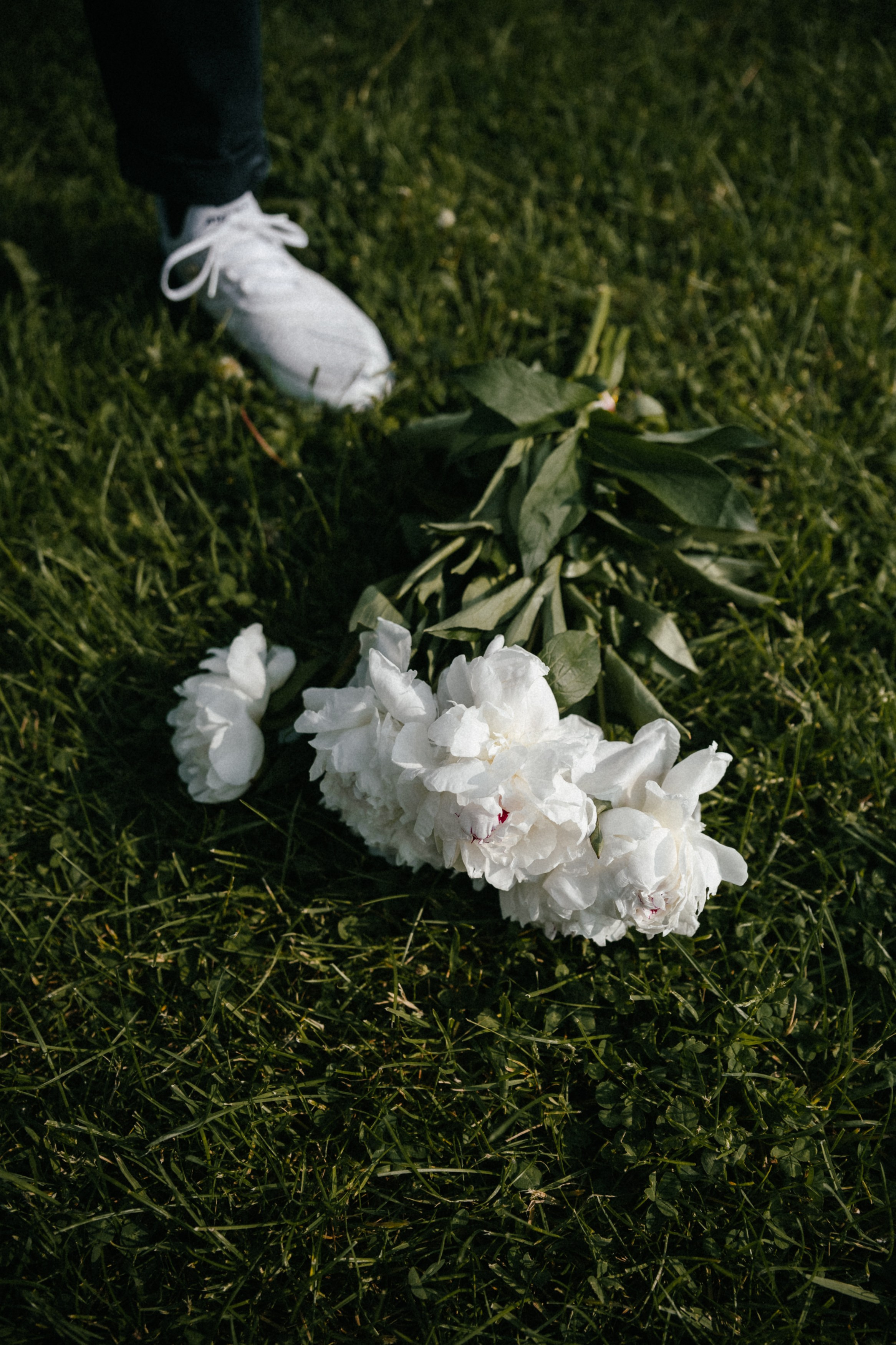 Мила и Паоло. Репортажный и портретный фотограф в Санкт-Петербурге Степлевич Дарья