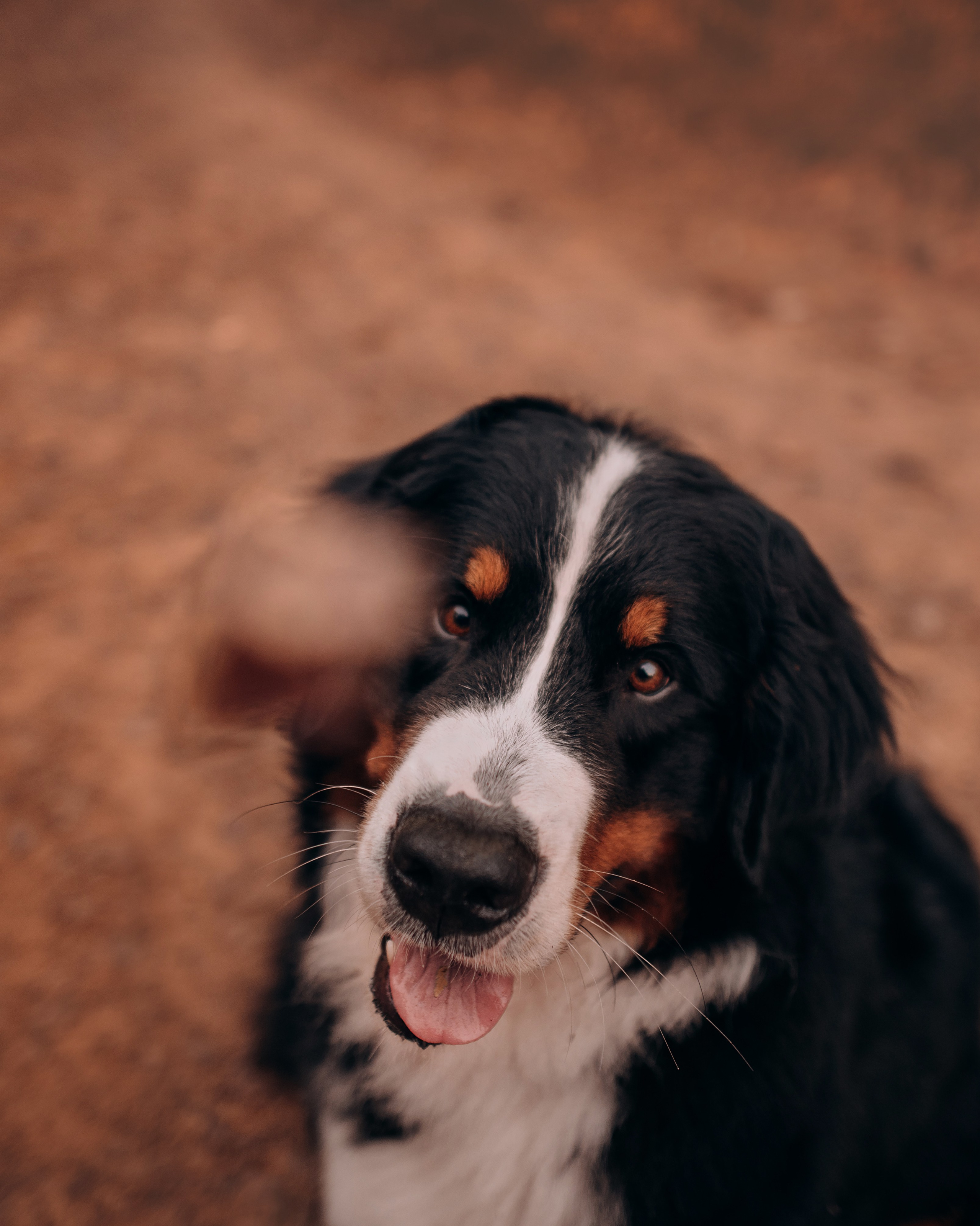 Владивосток: Марс и Маша. Портфолио