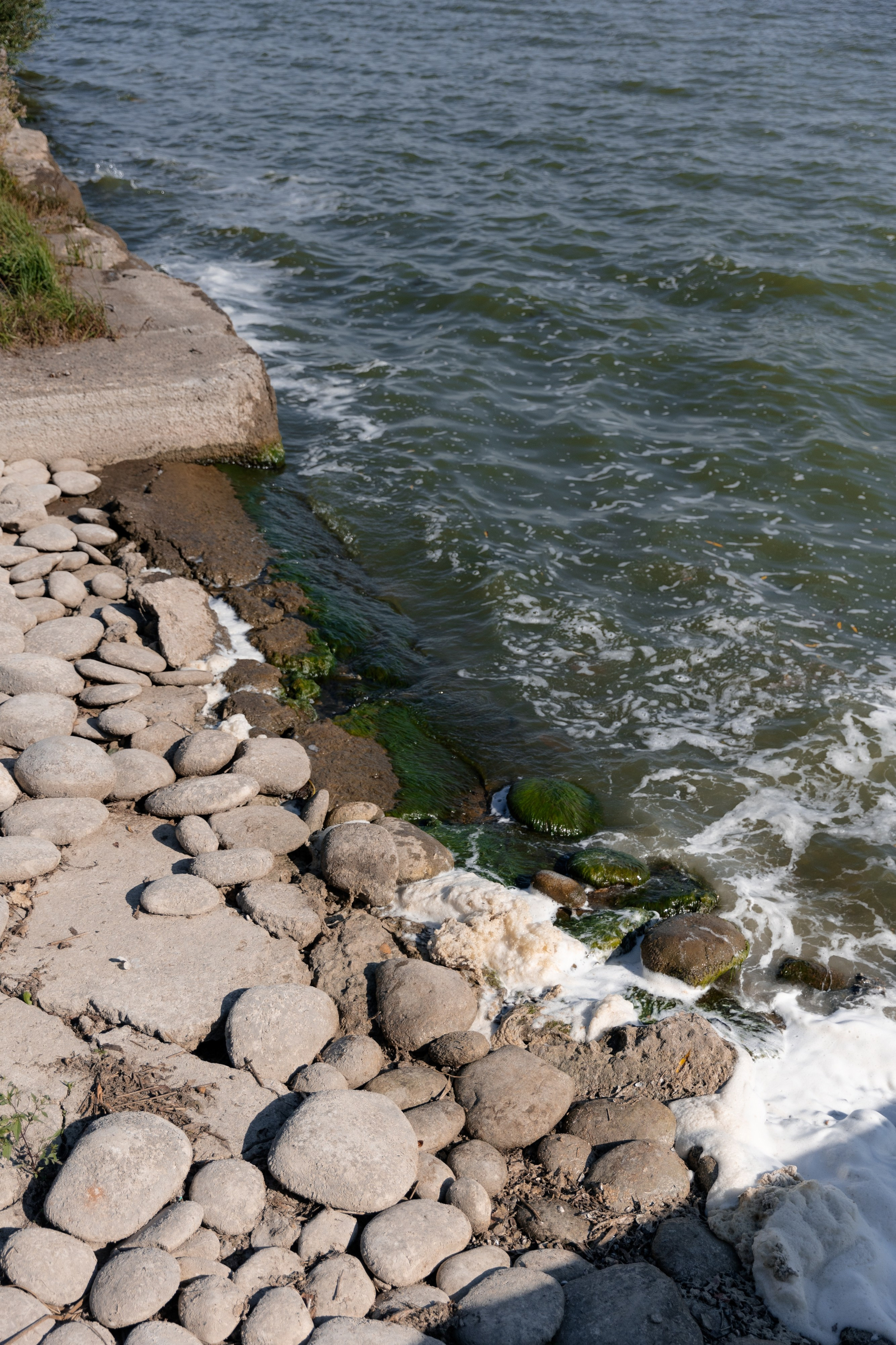 The Sun Александр & Любовь. Свадебный фотограф в Москве