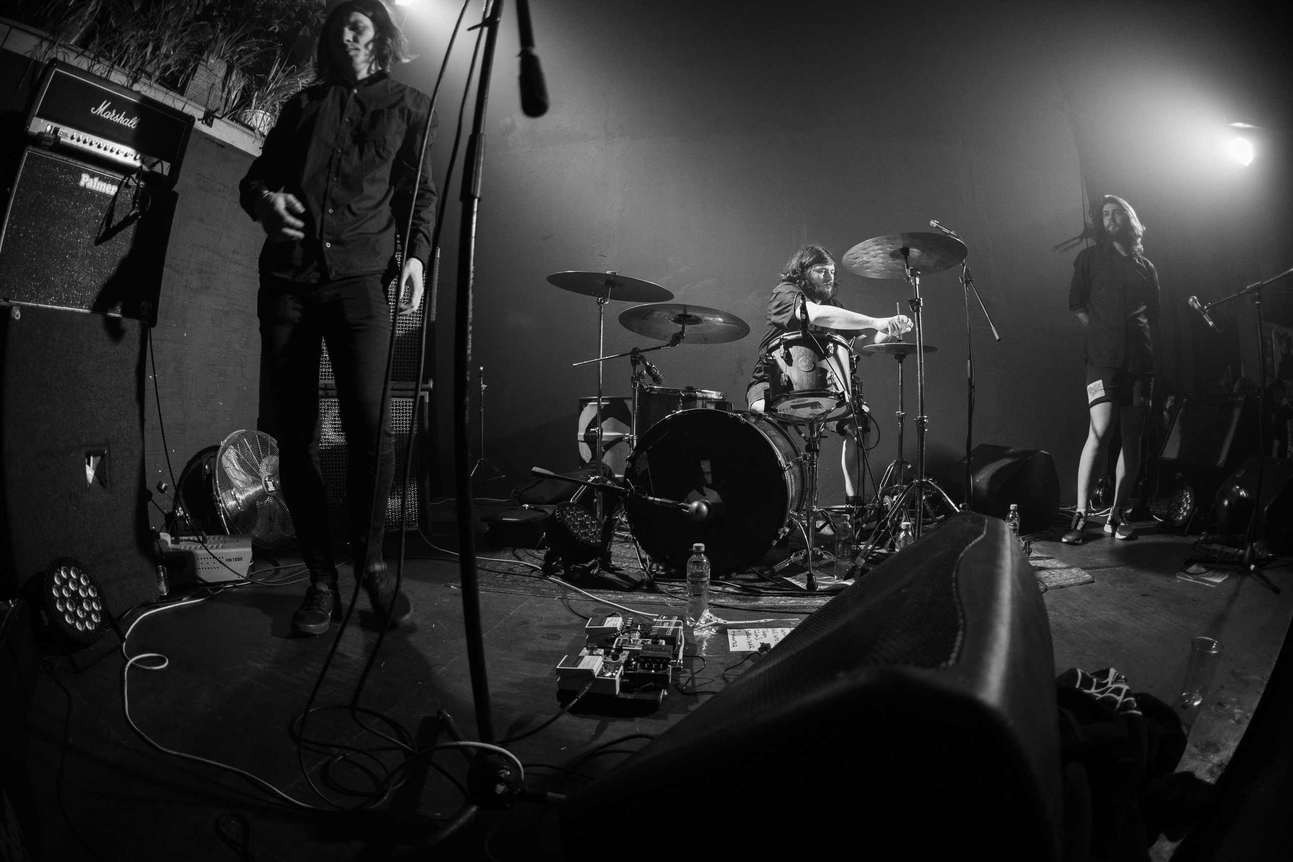 Шторм|Ласточка. Концертный и репортажный фотограф в Санкт-Петербурге Слава Пахомов