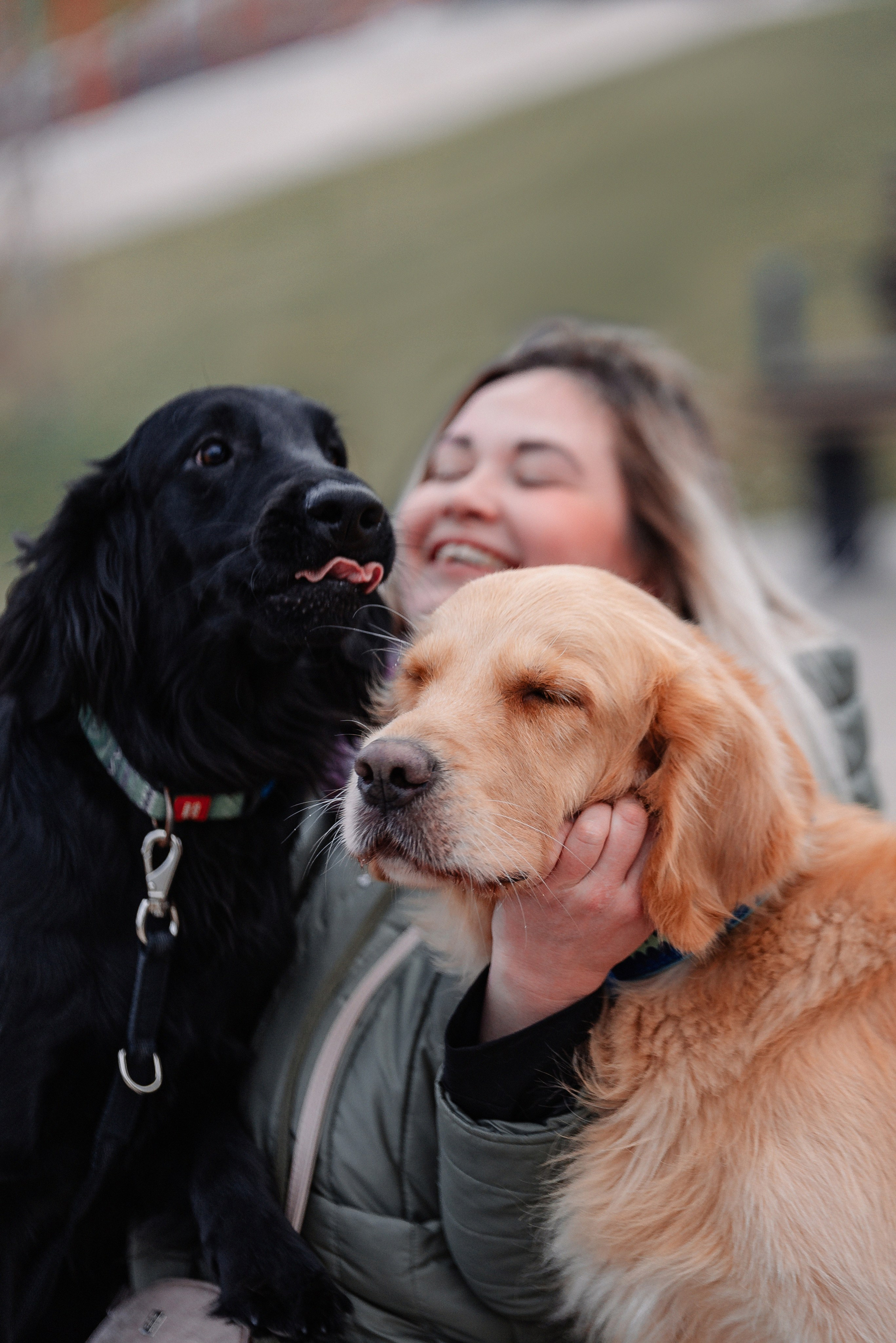Юля, Стёпа и Мята. Фотограф-анималист Анастасия Парфенова|Екатеринбург