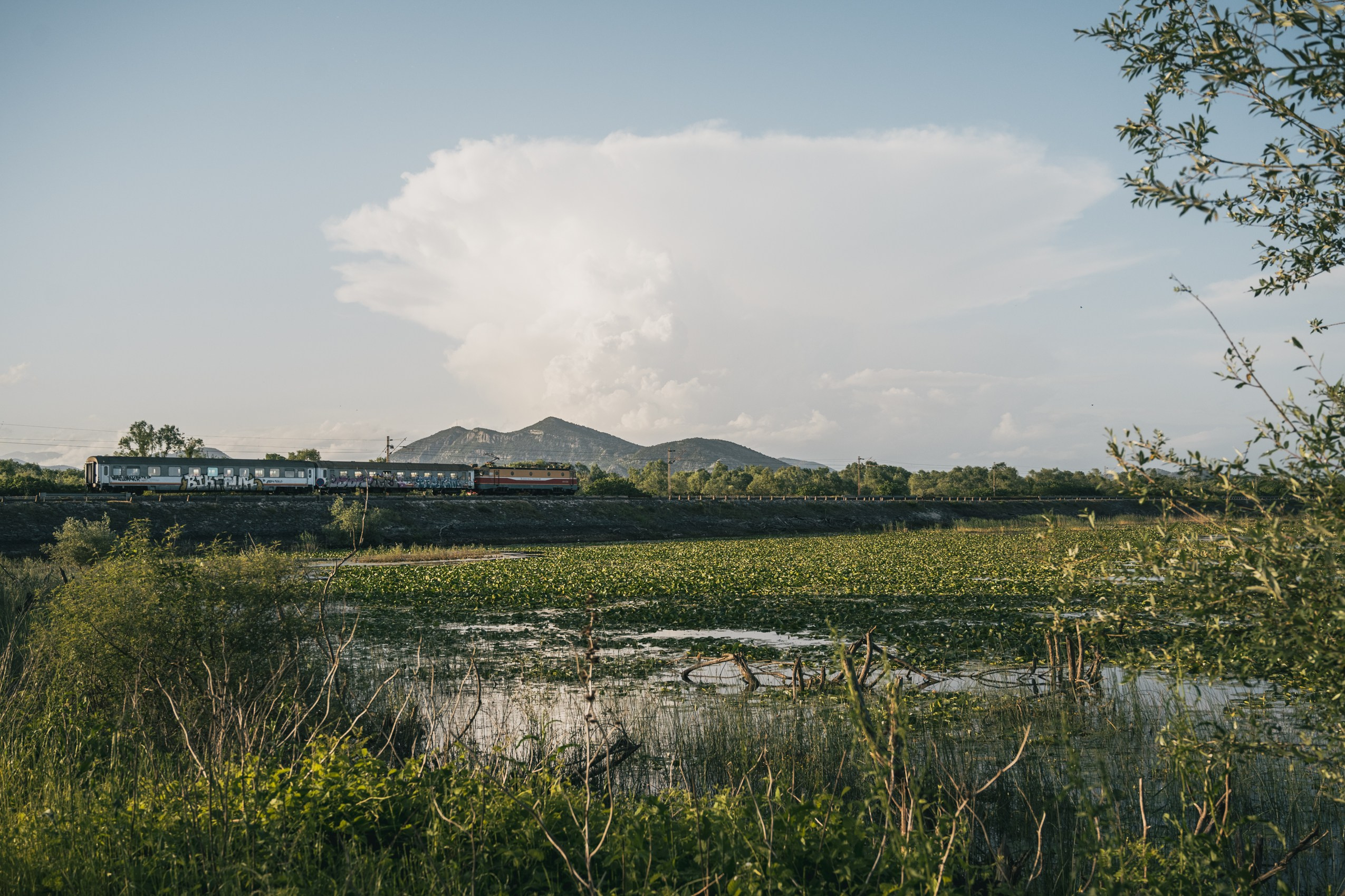 СКАДАРСКОЕ ОЗЕРО. ЧЕРНОГОРИЯ. Фотограф в Белграде Чугреева Елена