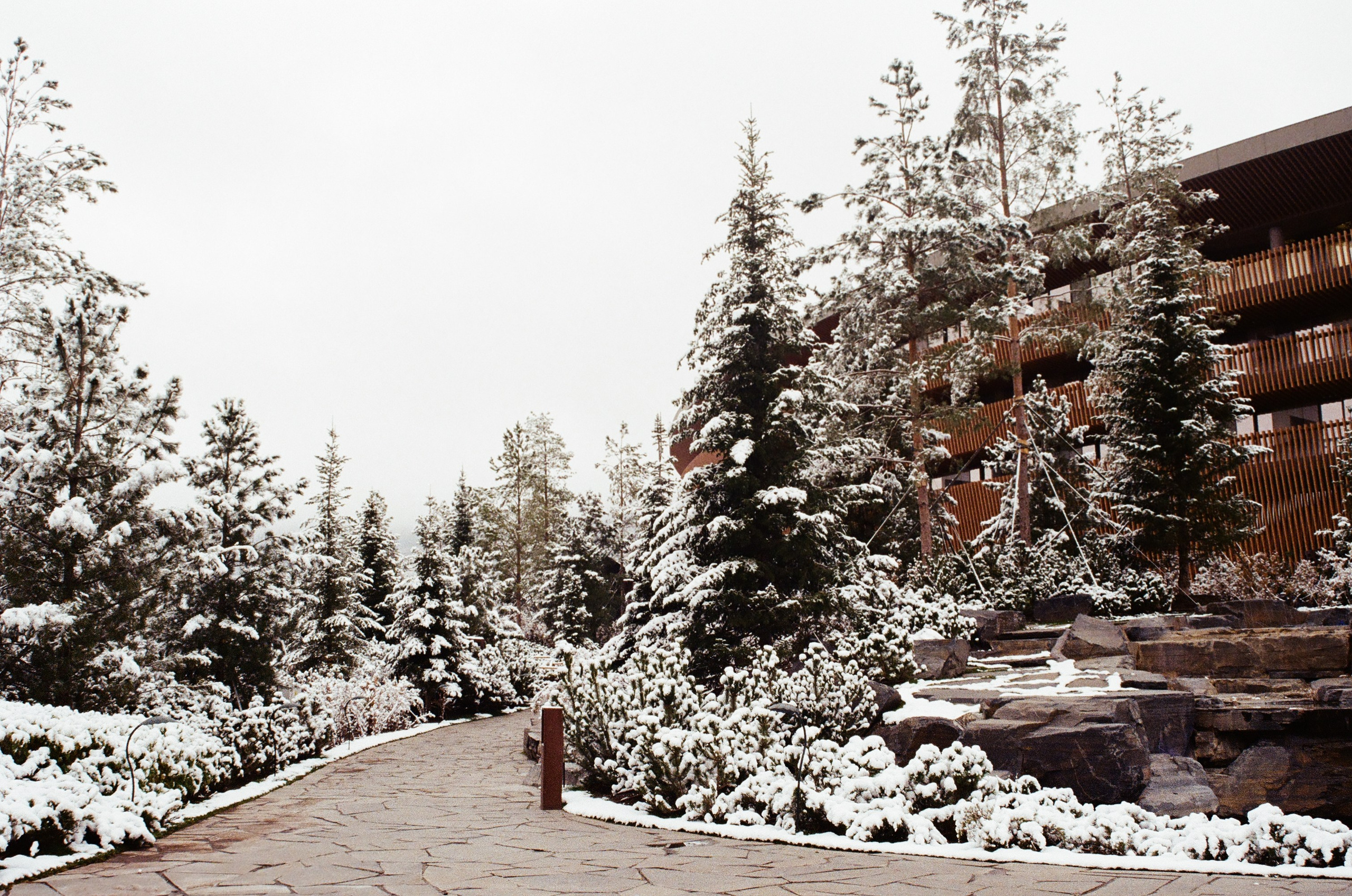 Плёнка. Свадебный и портретный фотограф в Тюмени Женя Черемнова