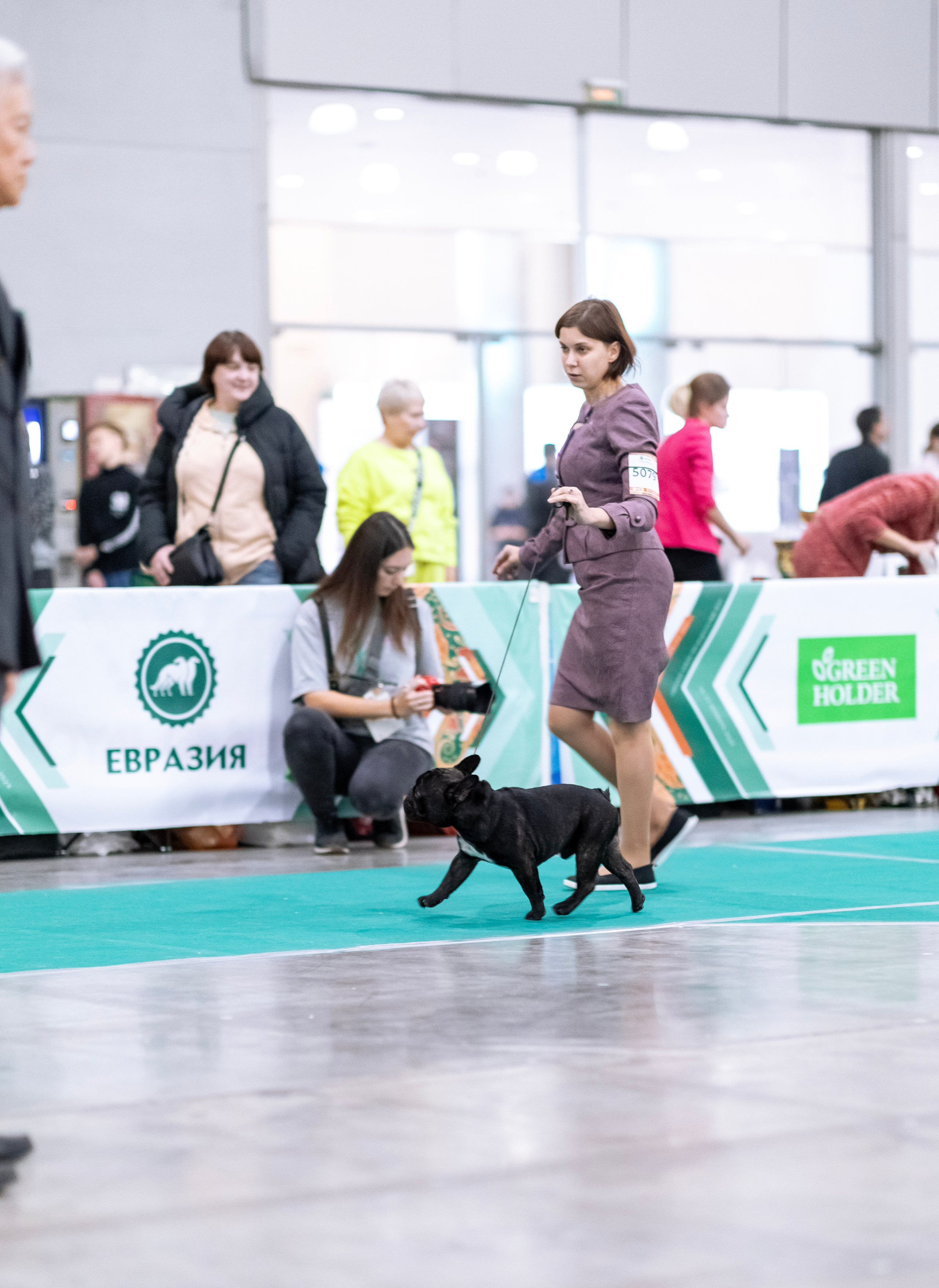 Евразия. Фотограф — анималист Татьяна Ли