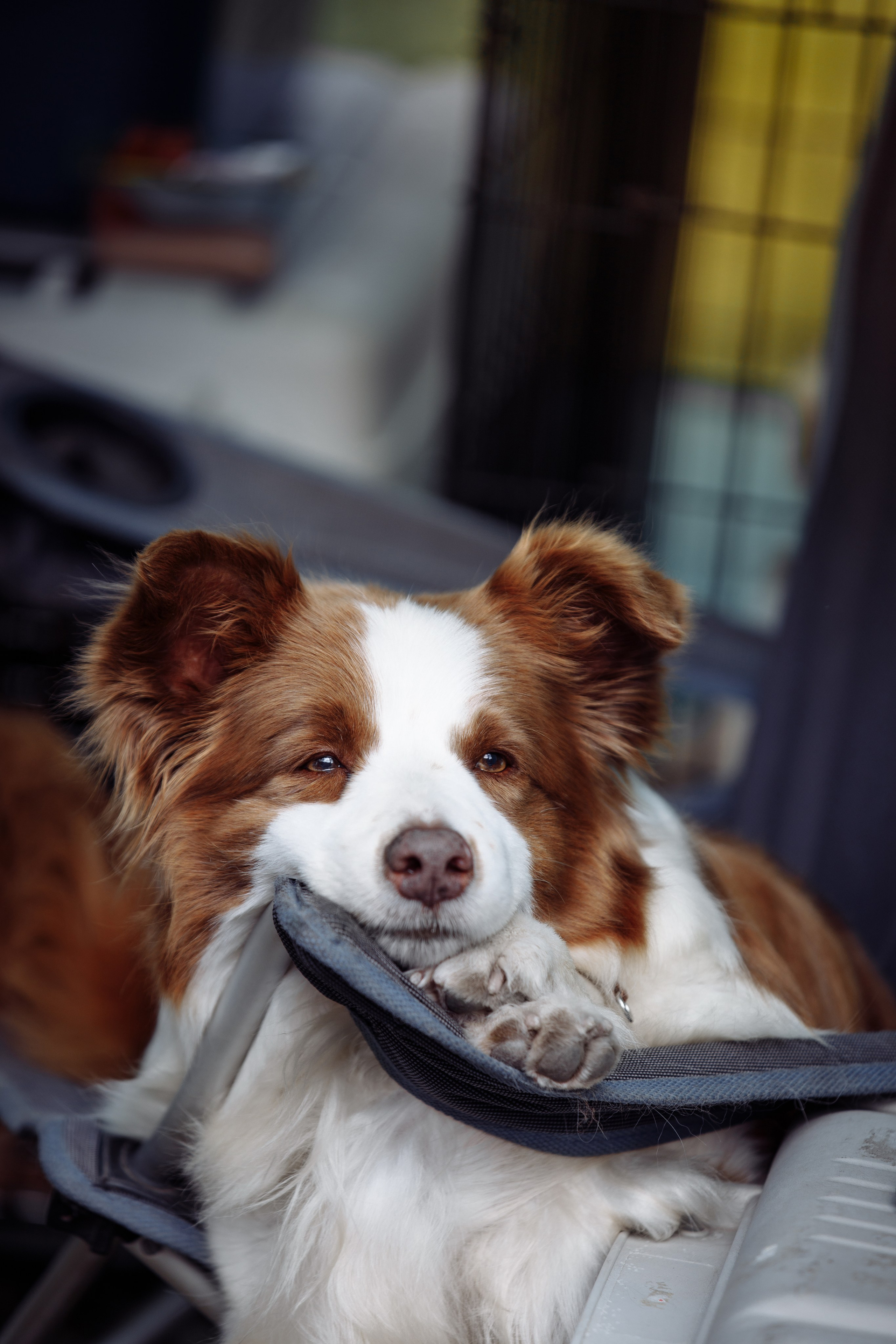 Оренбург с моно 22. О нас