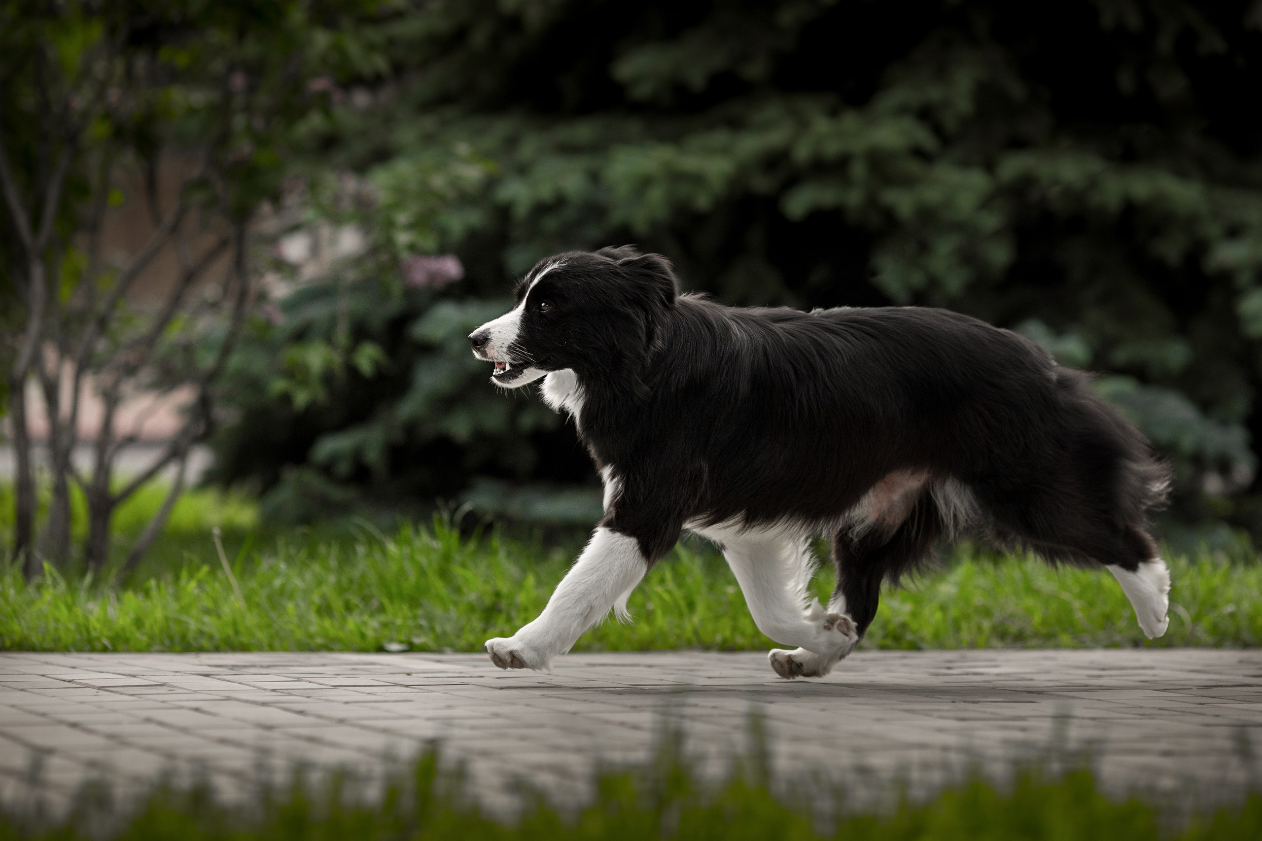 Роскошь в ростошах. О нас