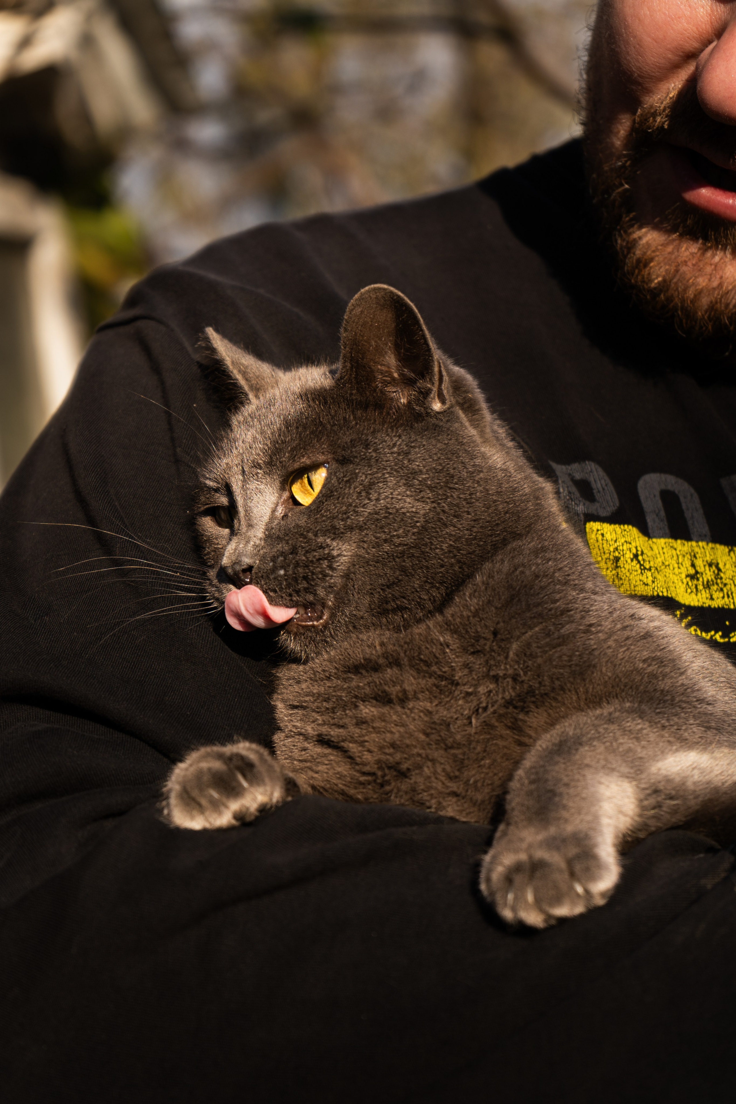 Pets. Makaroshkassirom — photographer in Minsk