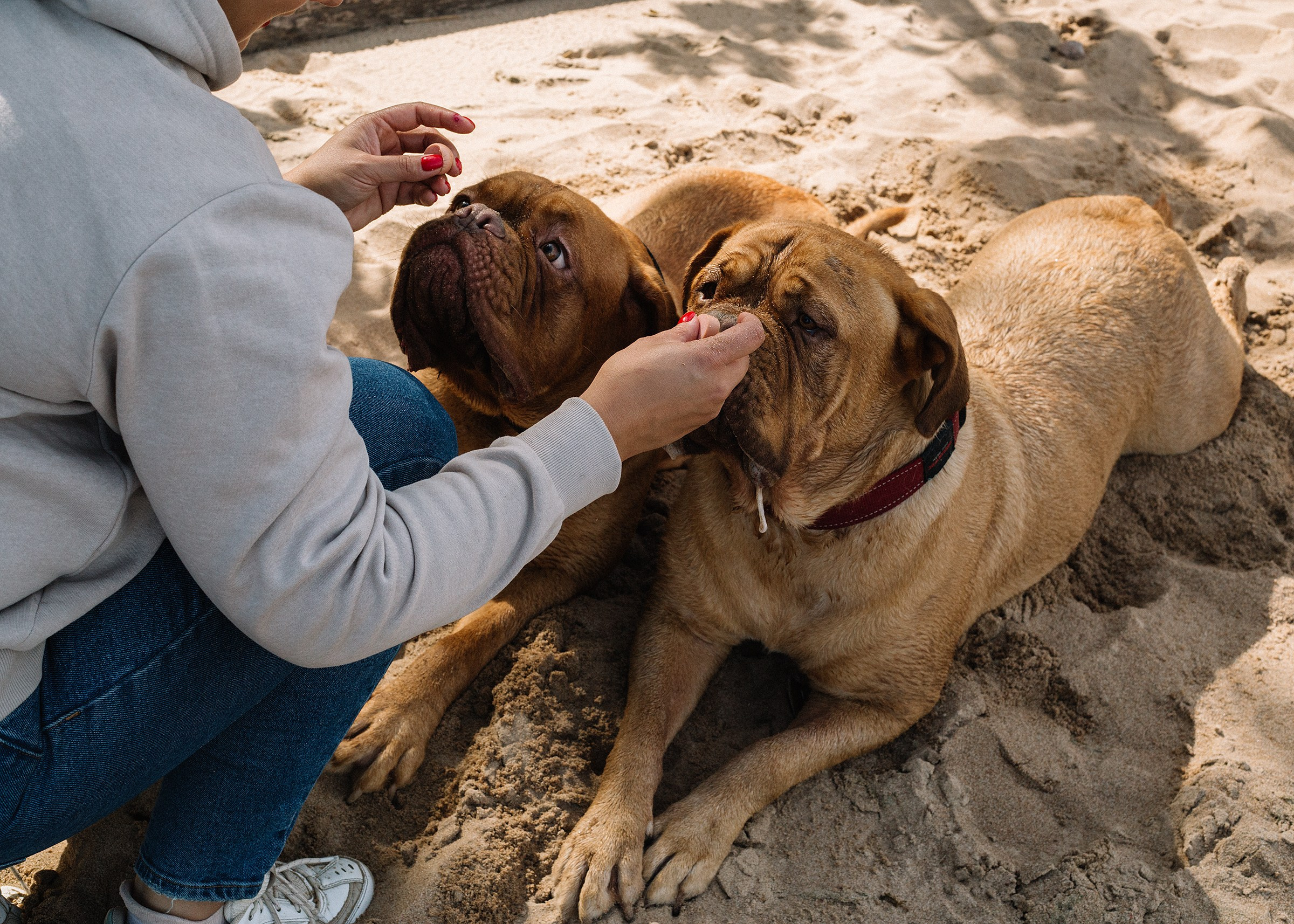 Ксюша, Соня и Дуся. Семейный и портретный фотограф в Санкт-Петербурге