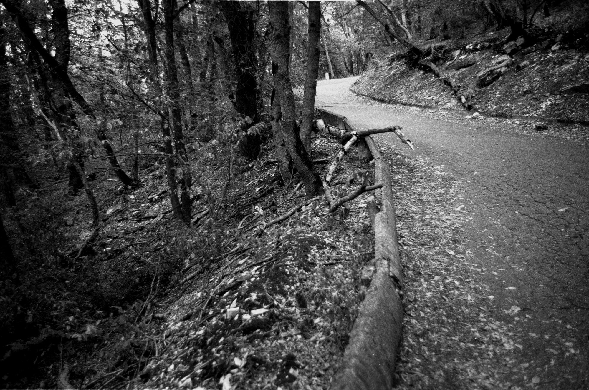 Природа. Другой Павел Поцелуев. Фотограф в 2025 году